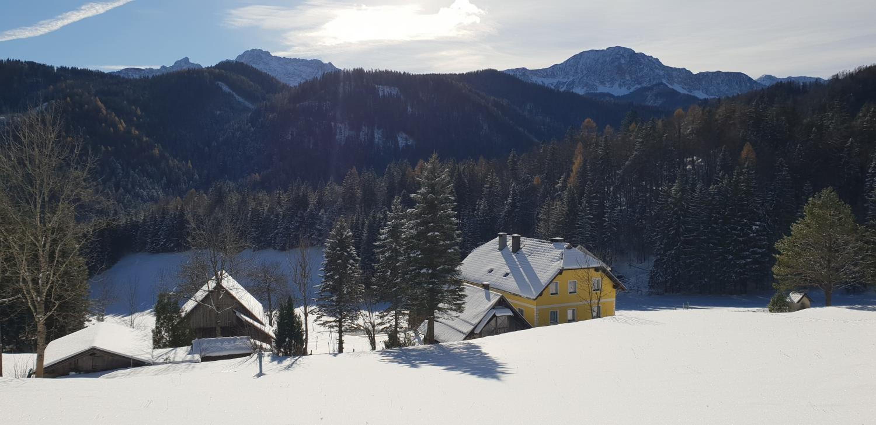 Bauernchalet Orainza