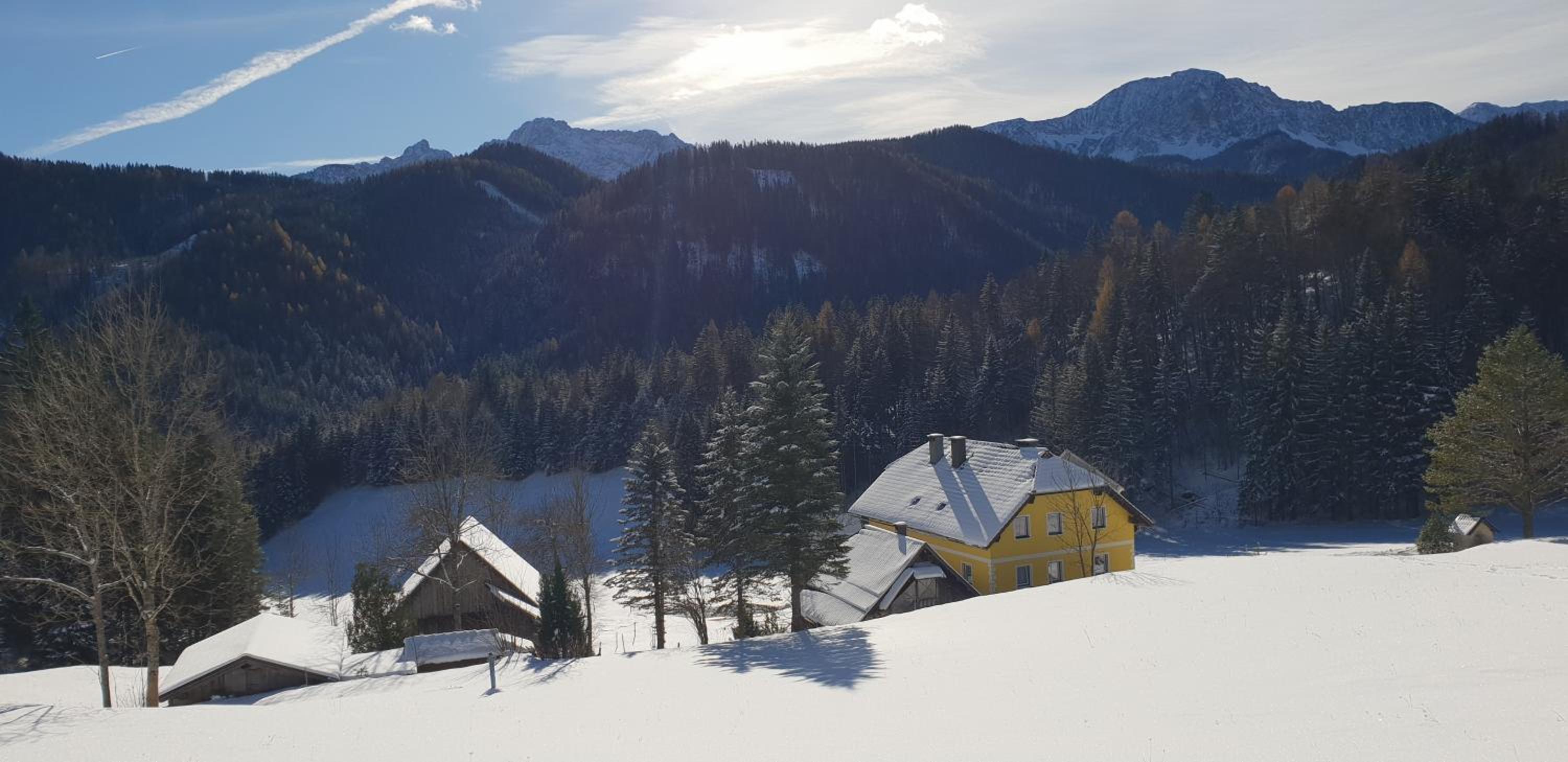 Bauernchalet Orainza