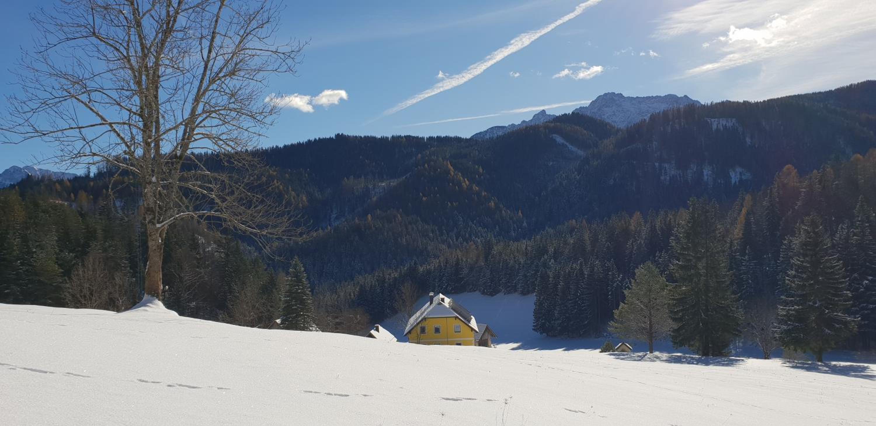Bauernchalet Orainza