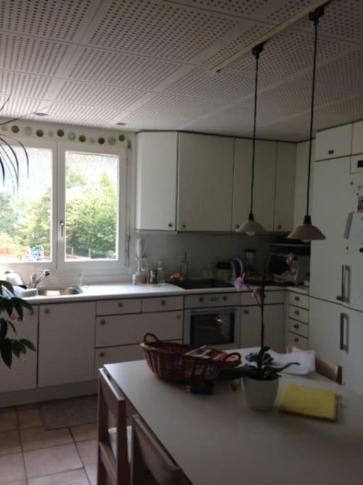 casa ad Avegno con 1500mq di giardino