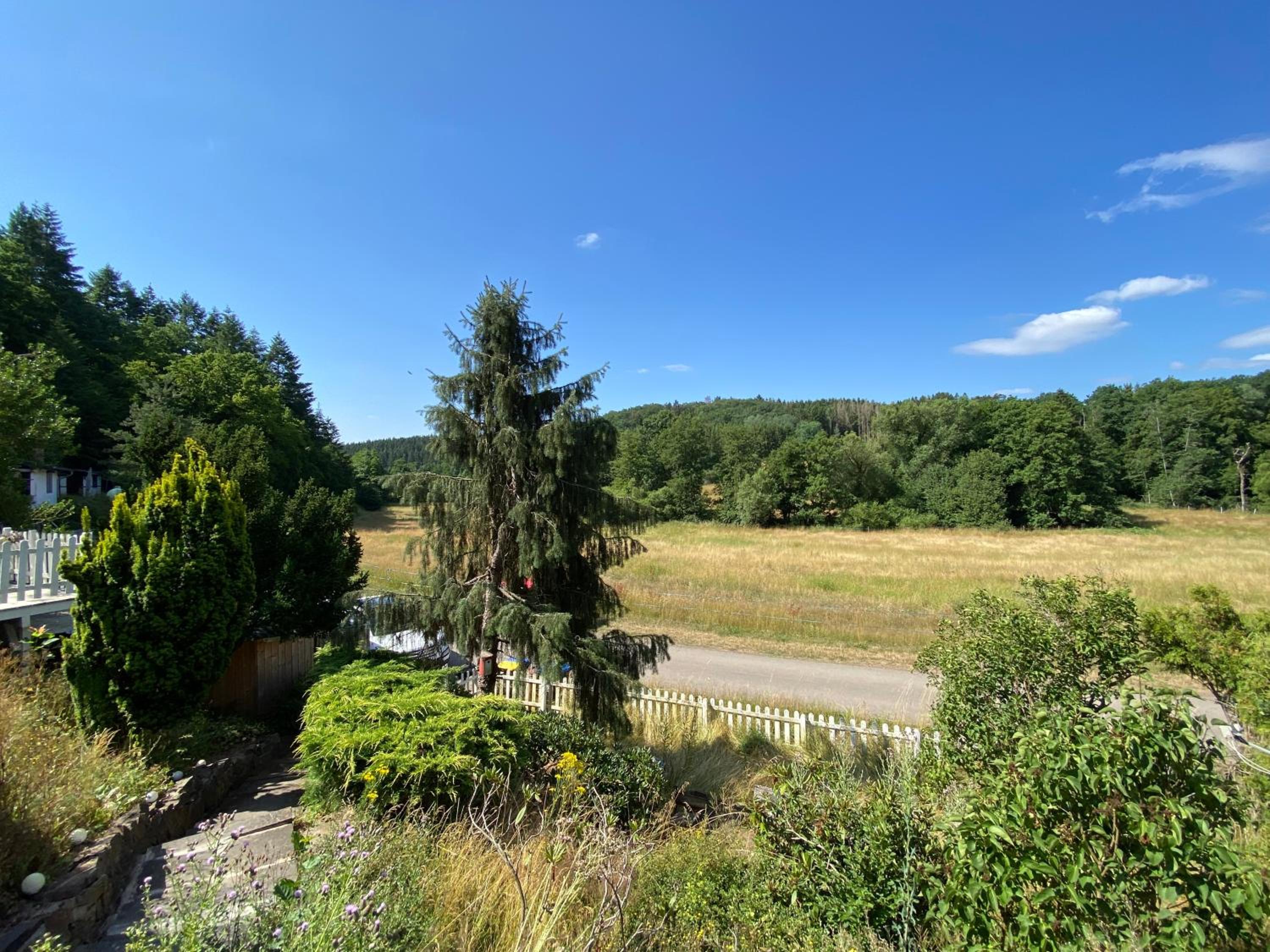Eifelcottage Rotkehlchen