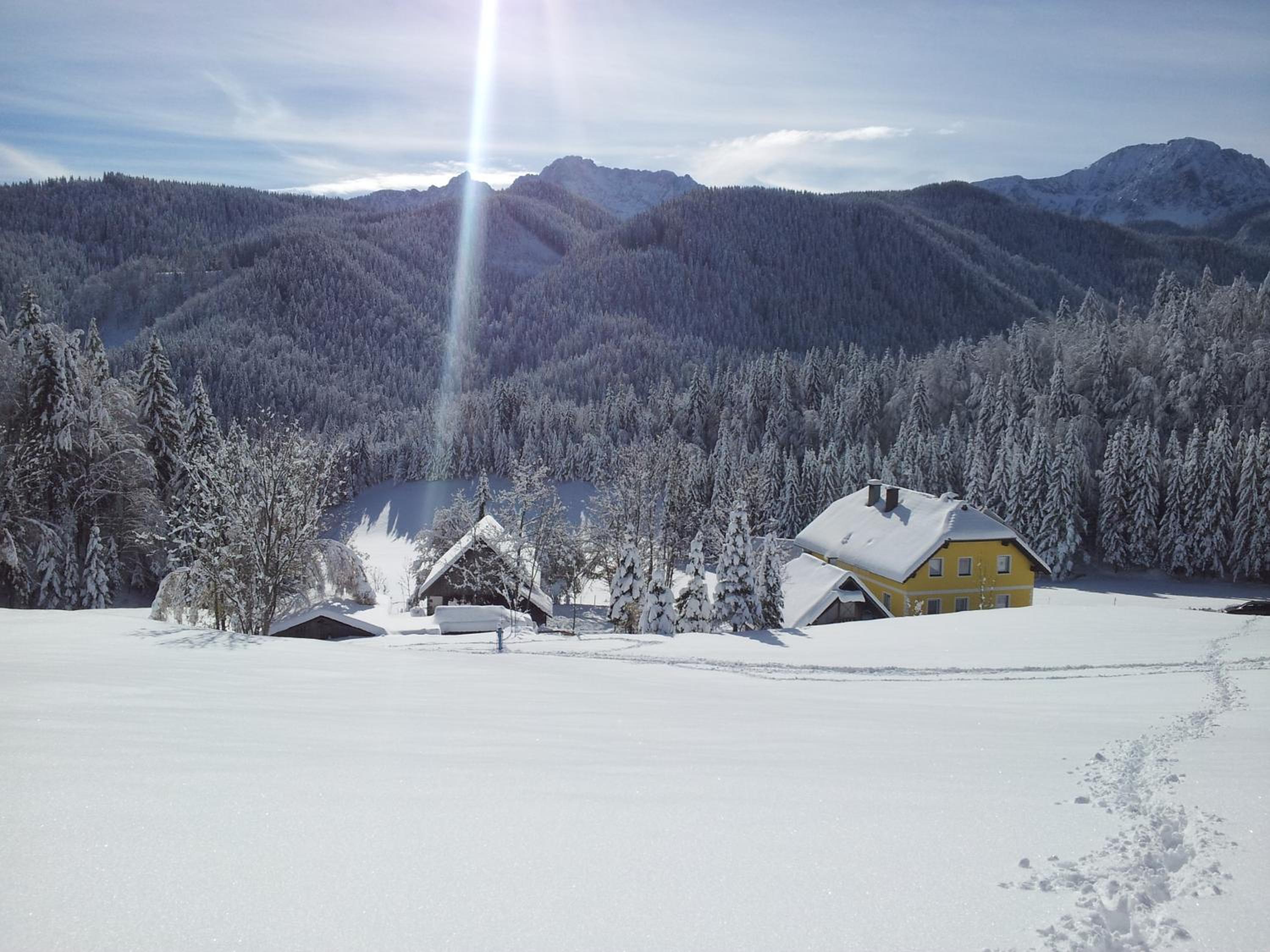 Bauernchalet Orainza