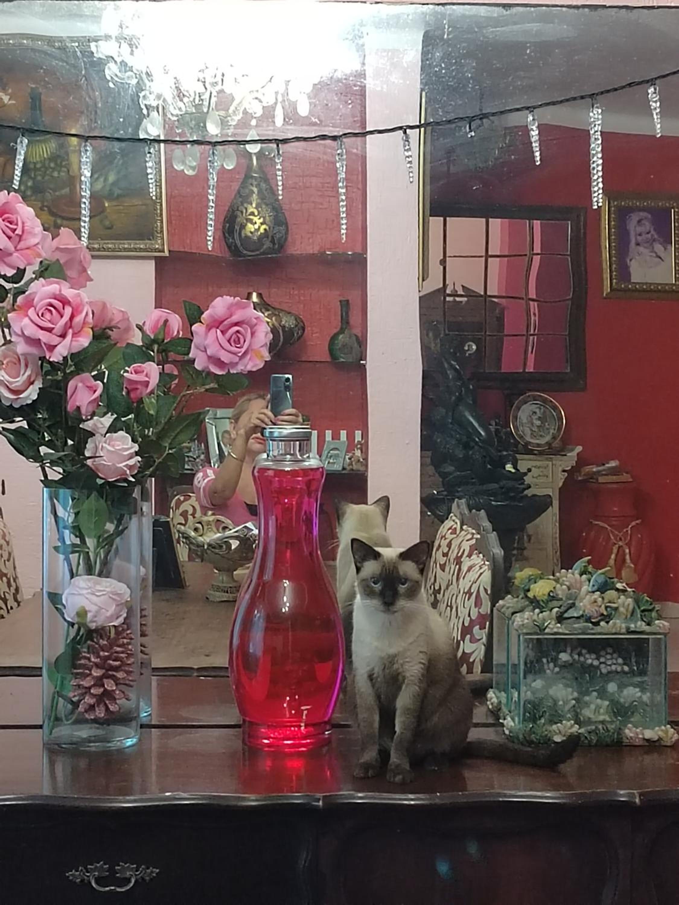 Barbie home