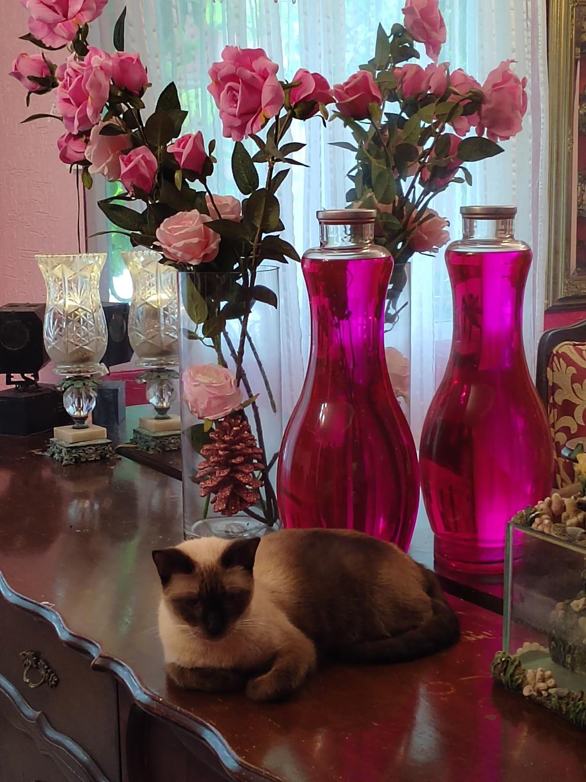 Barbie home