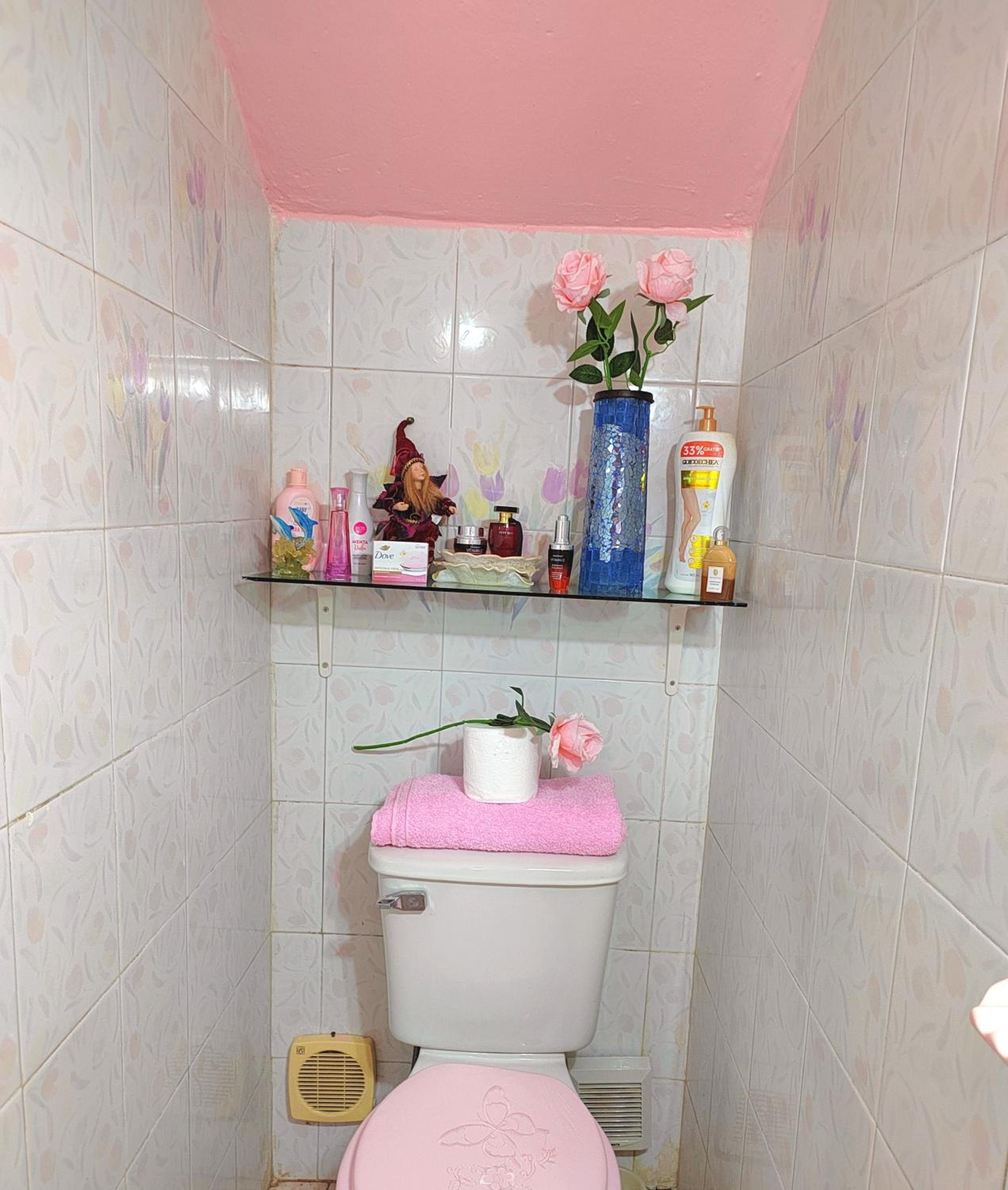Barbie home