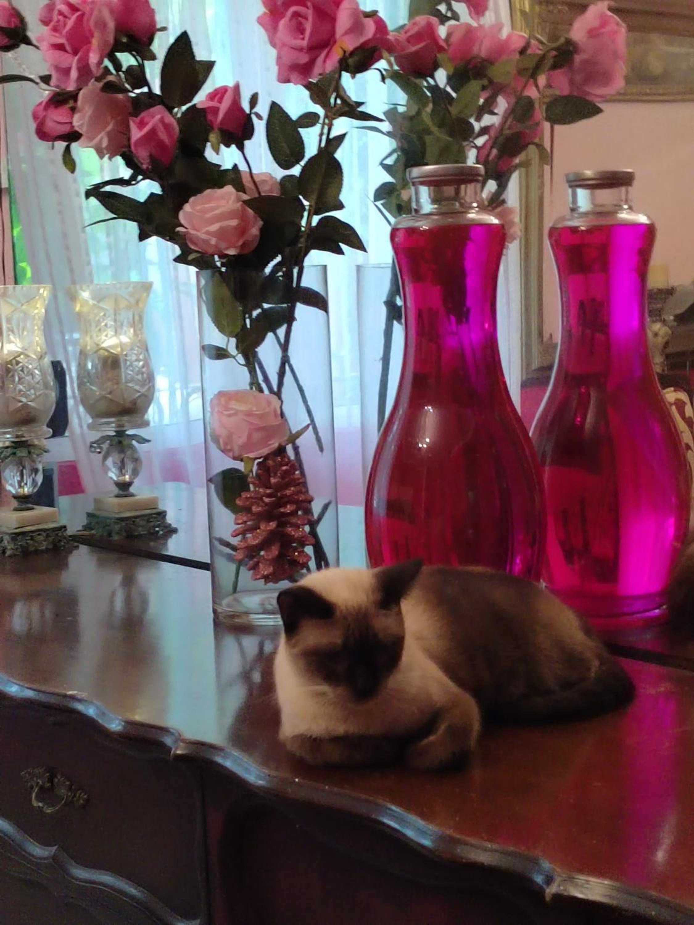 Barbie home