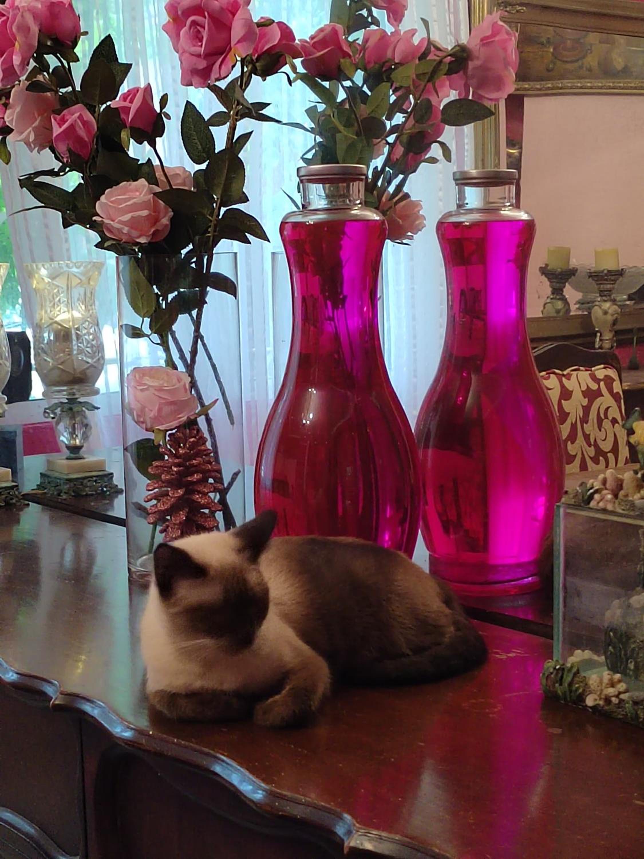 Barbie home