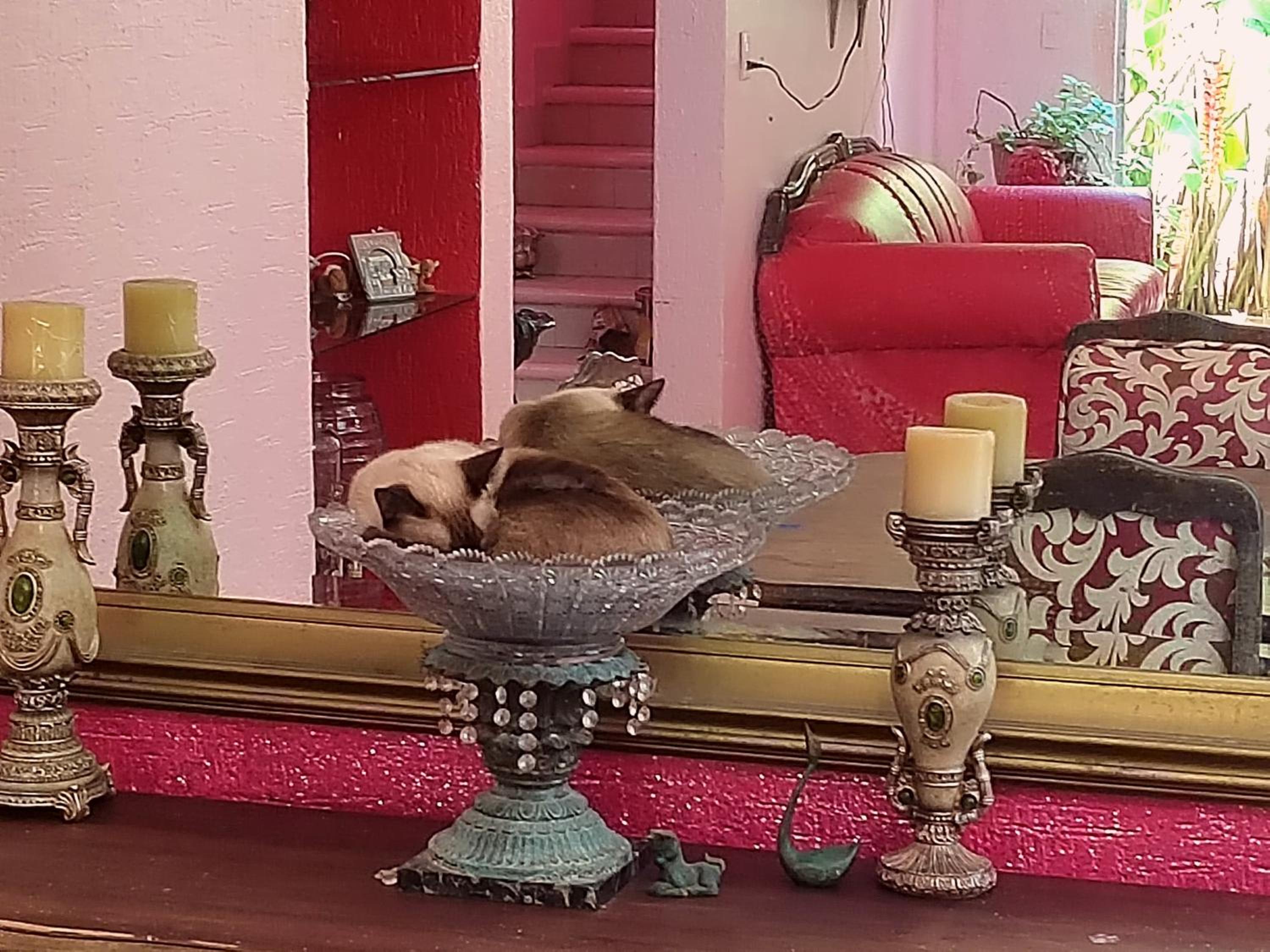 Barbie home