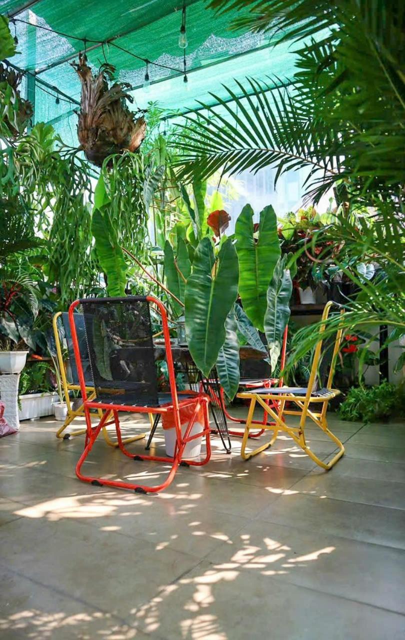 Amango Dorm