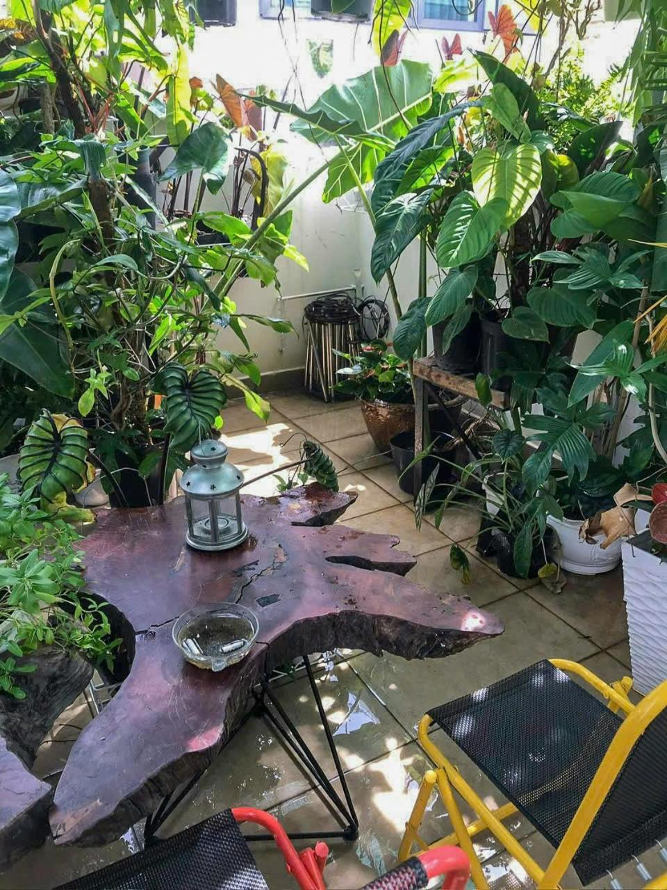 Amango Dorm