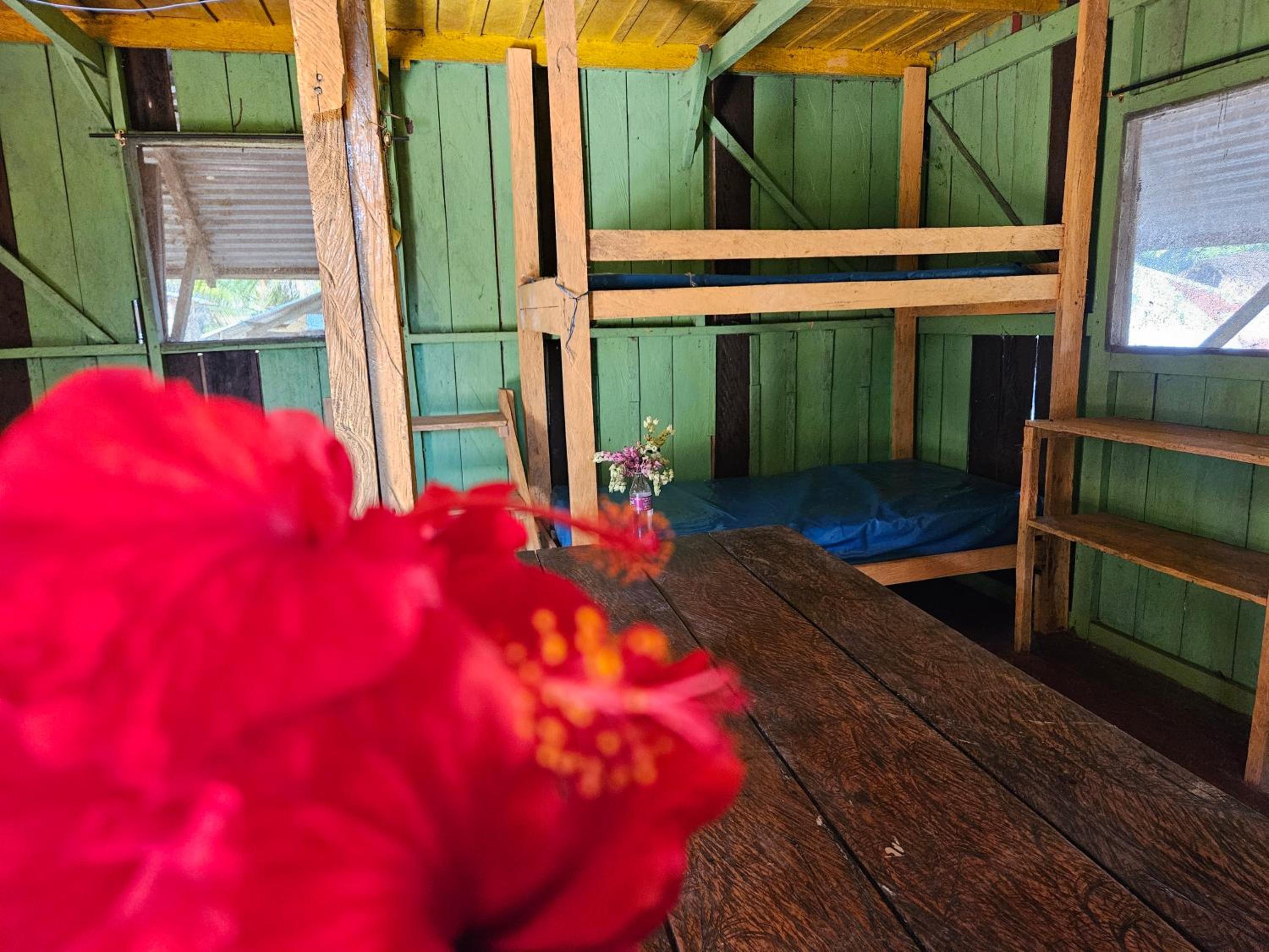 Amazon Jungle lodge -Experencia Indigena Yagua