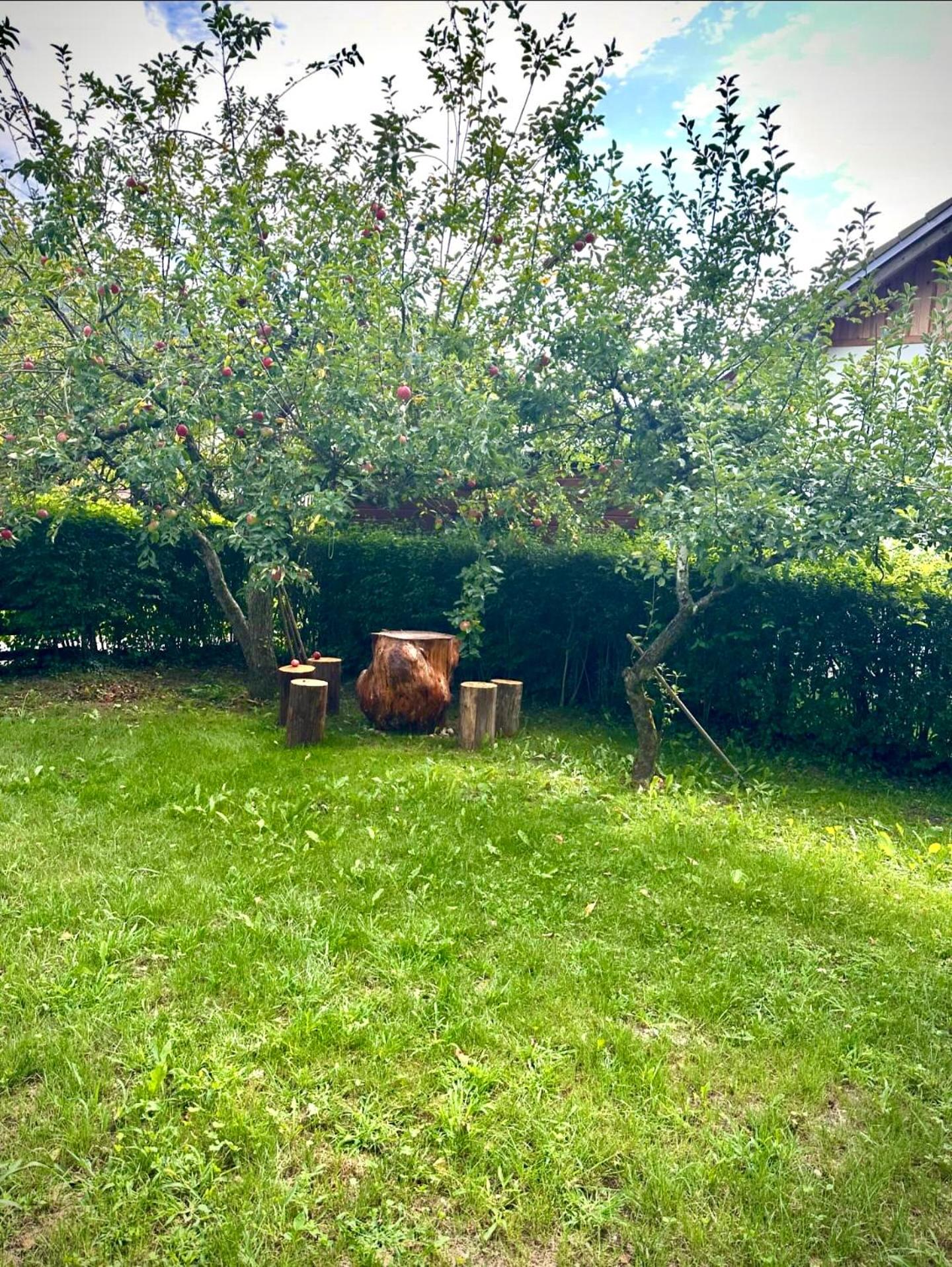 Apartma Dobnik