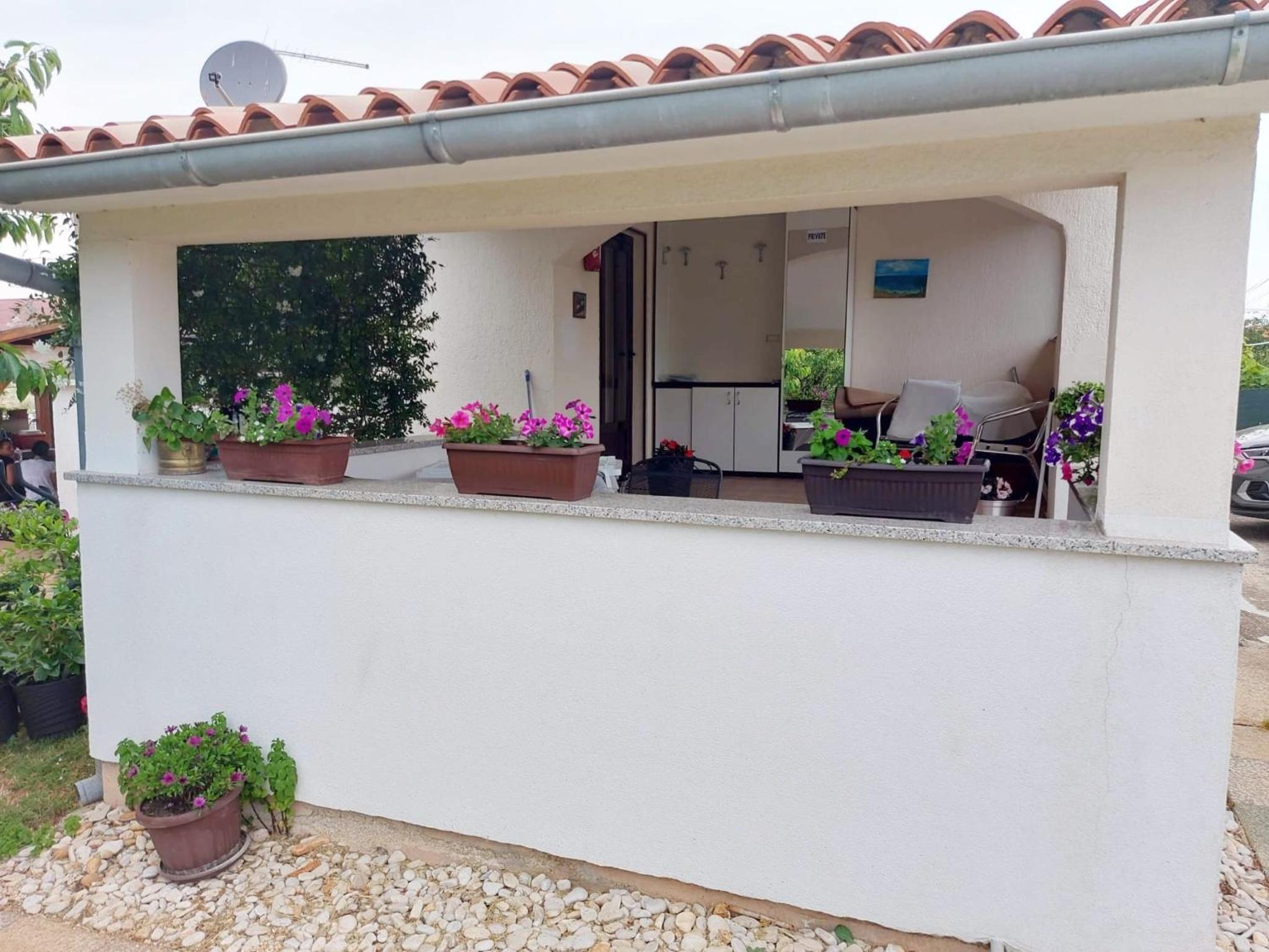 House Lucia and Apartment Aleksandar