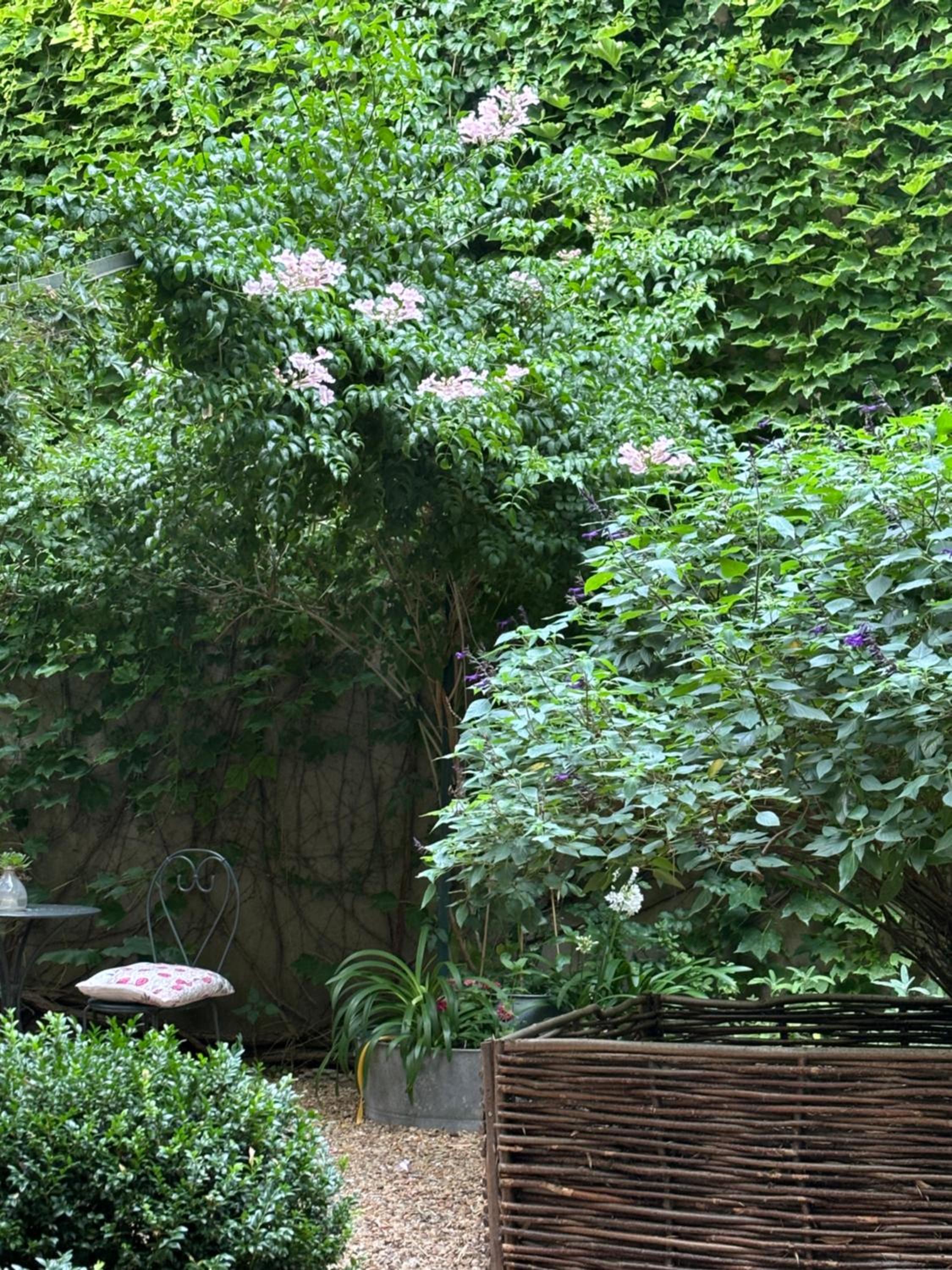 Le logis blanc bed&breakfast, photo 49