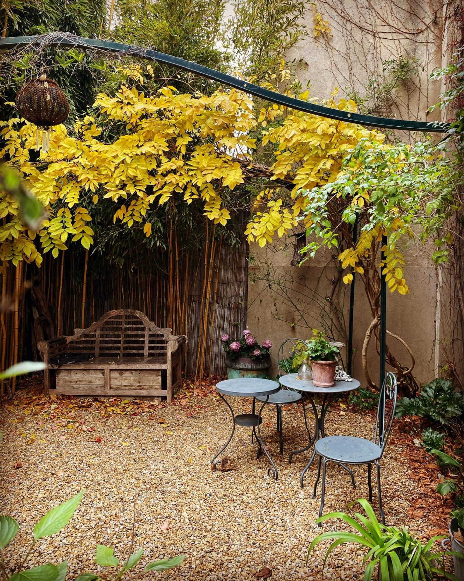 Le logis blanc bed&breakfast, photo 3