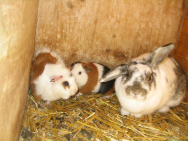 Photo 27