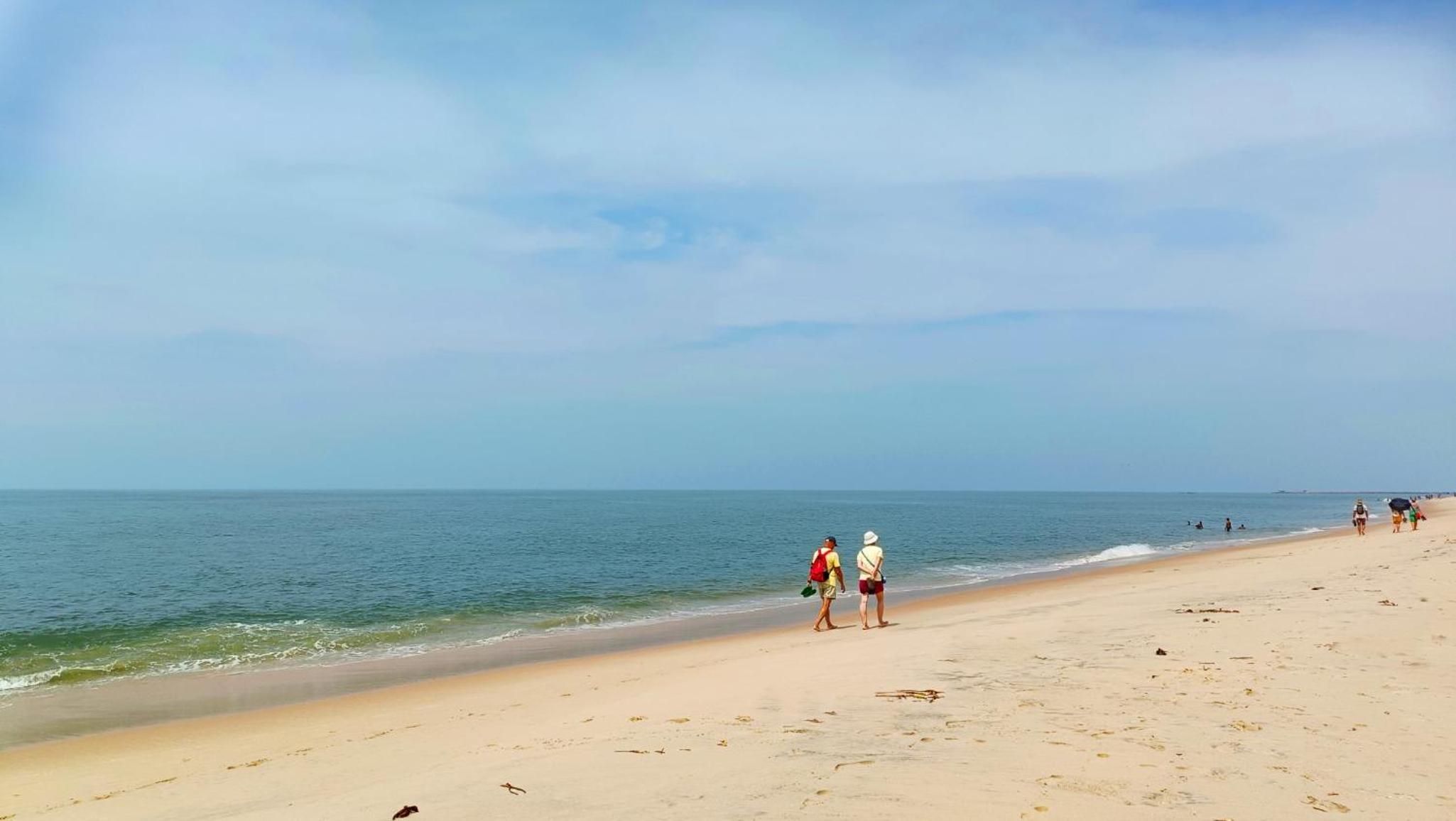 Photo 65