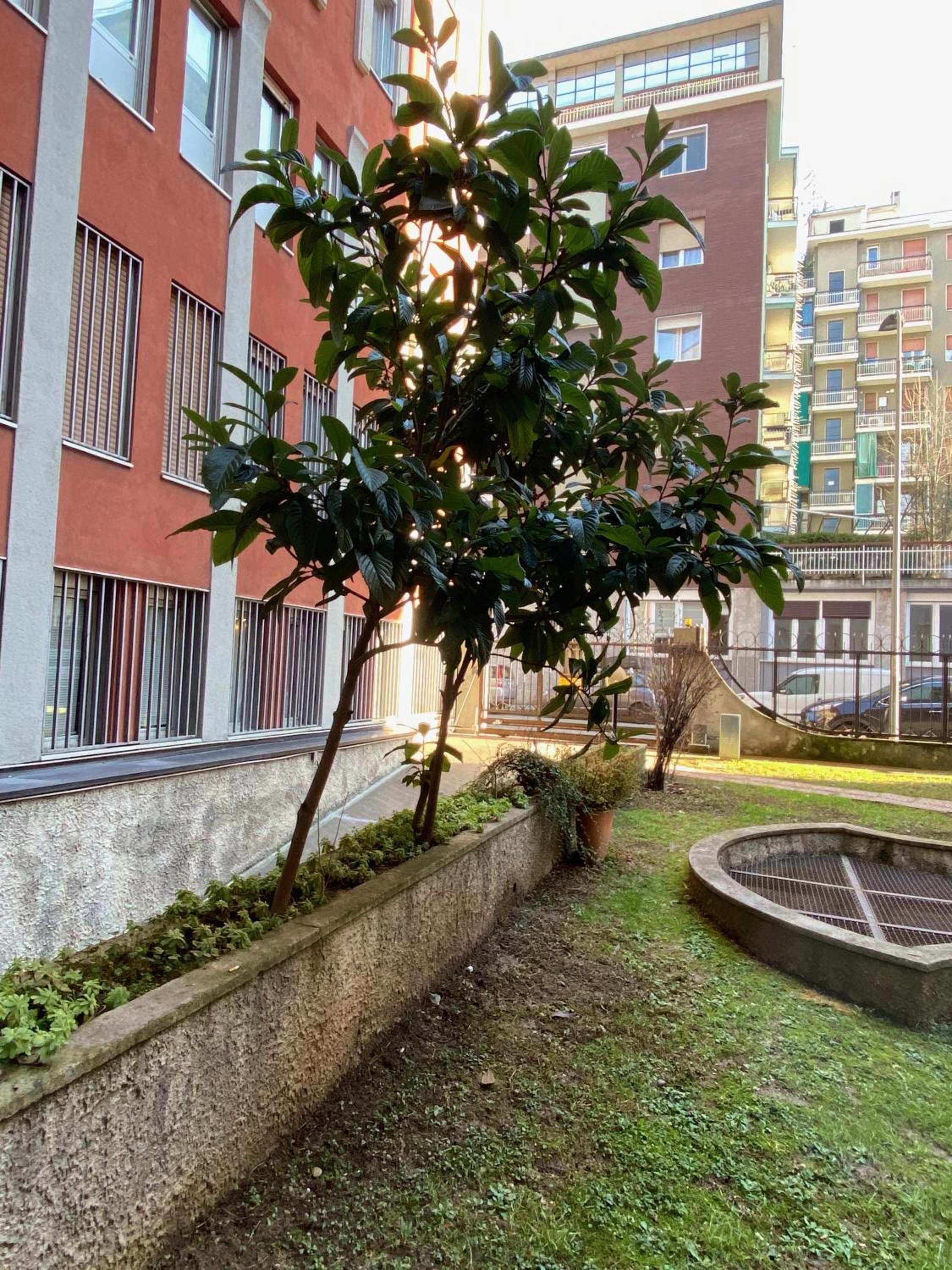 Elegant Appartament
