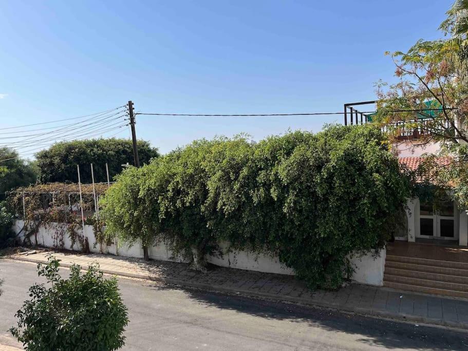 Roomy Studio - stone throw away to Nissi Beach!