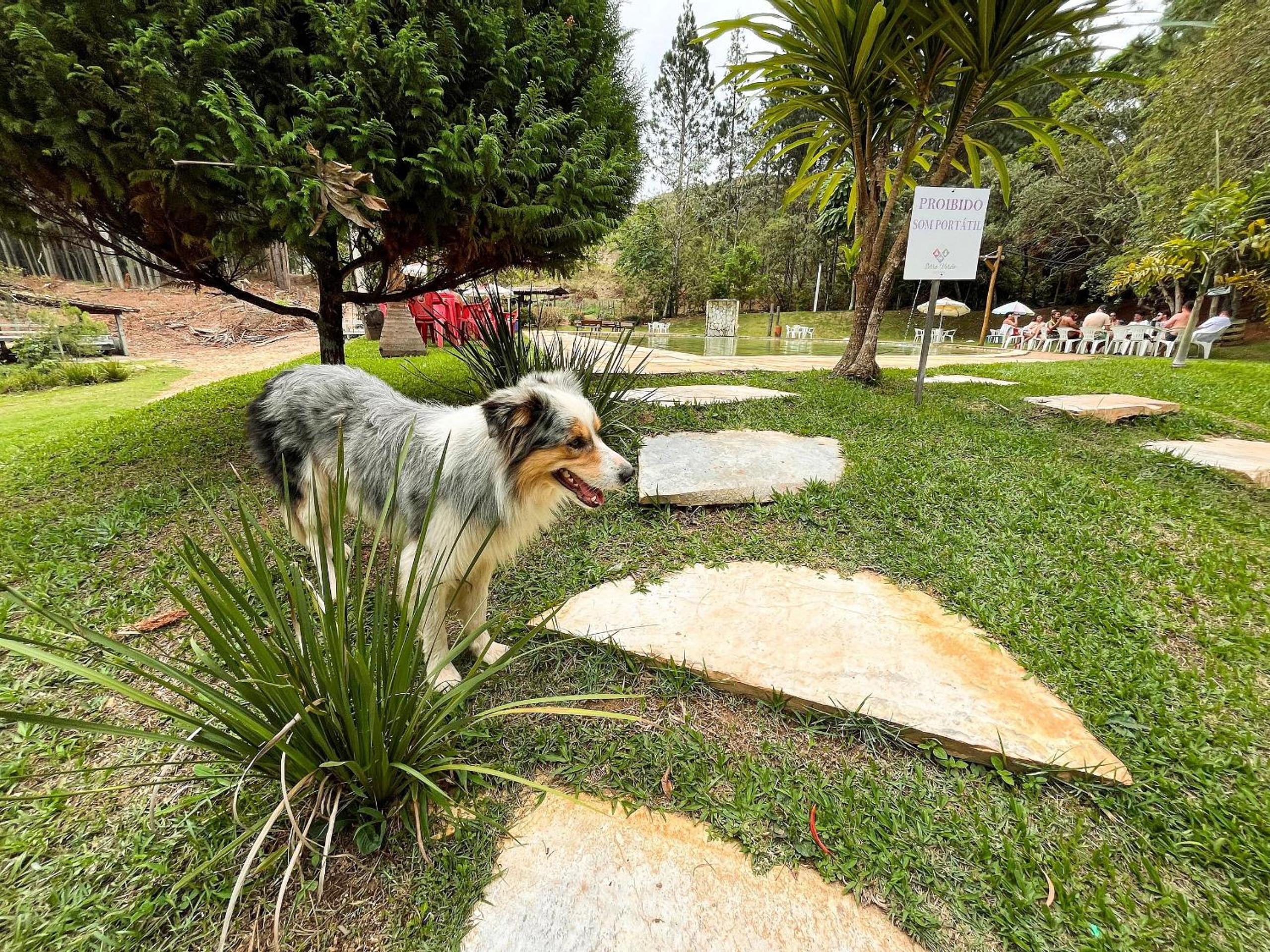 Pousada Chalés em Capitólio com acesso a piscina natural, cachoeiras, café da manhã, trilhas, passeio a cavalo, a apenas poucos minutos do deslumbrante Lag