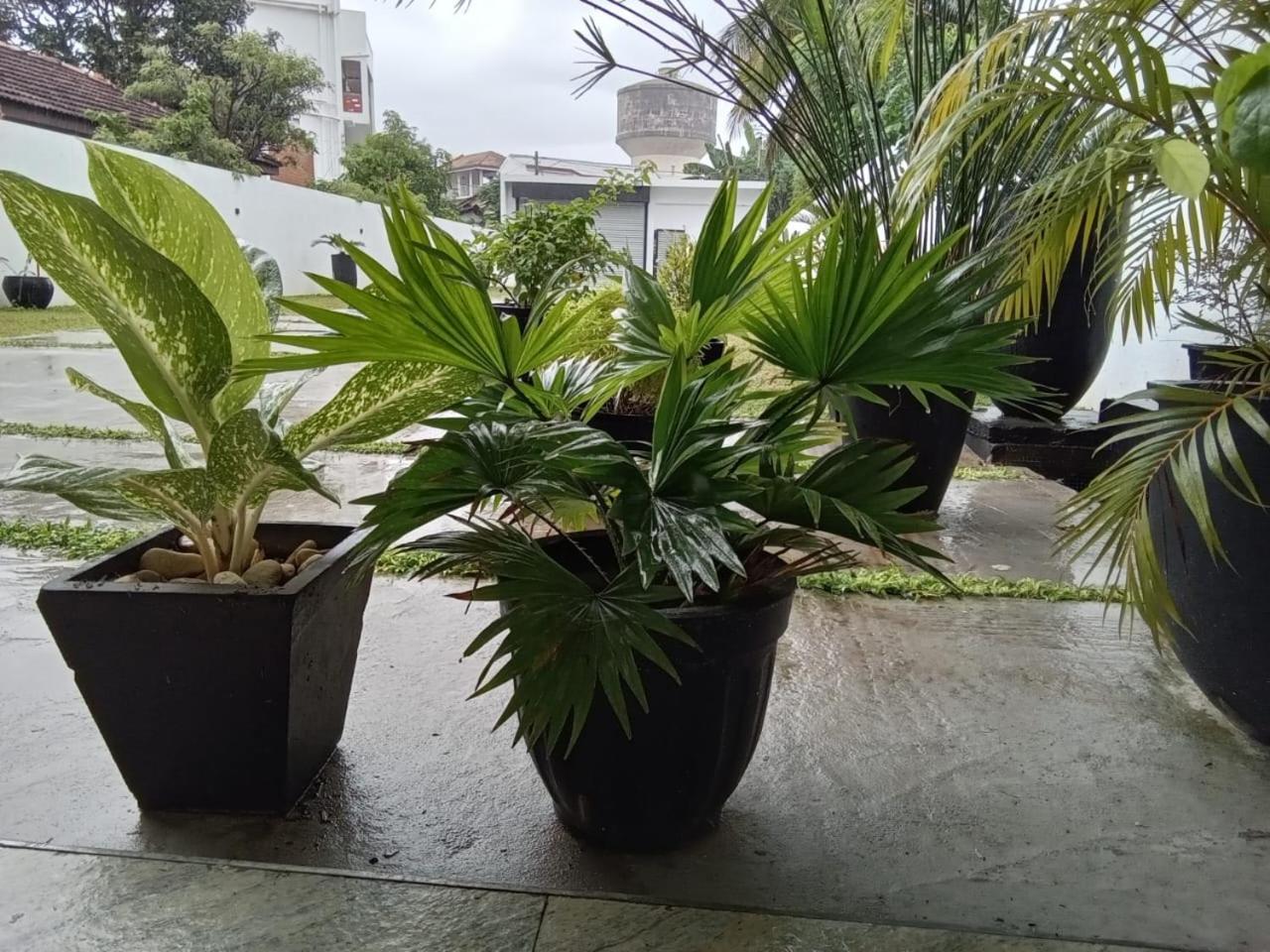 Photo 26