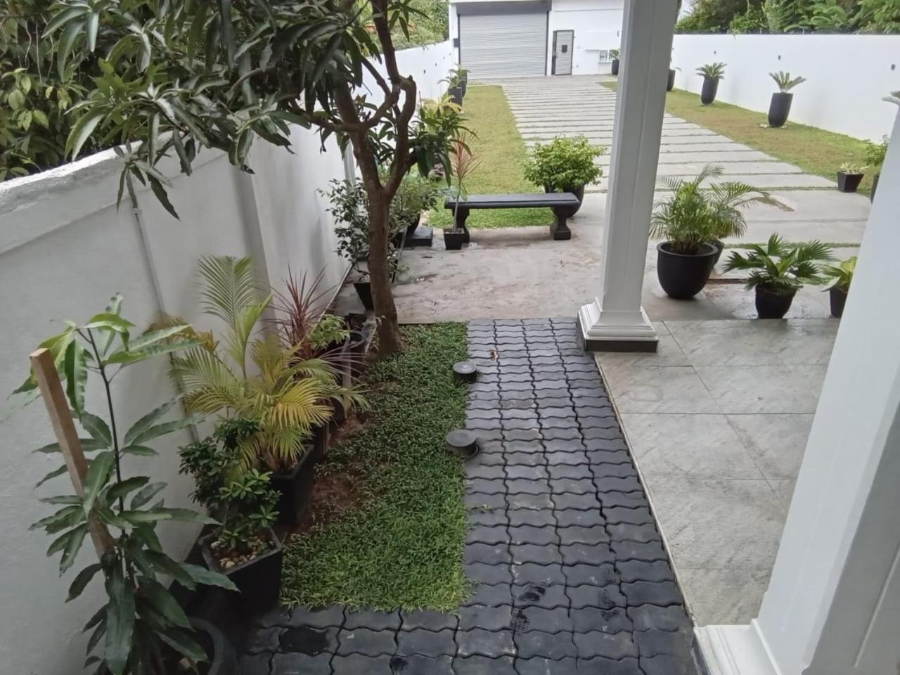 Photo 38