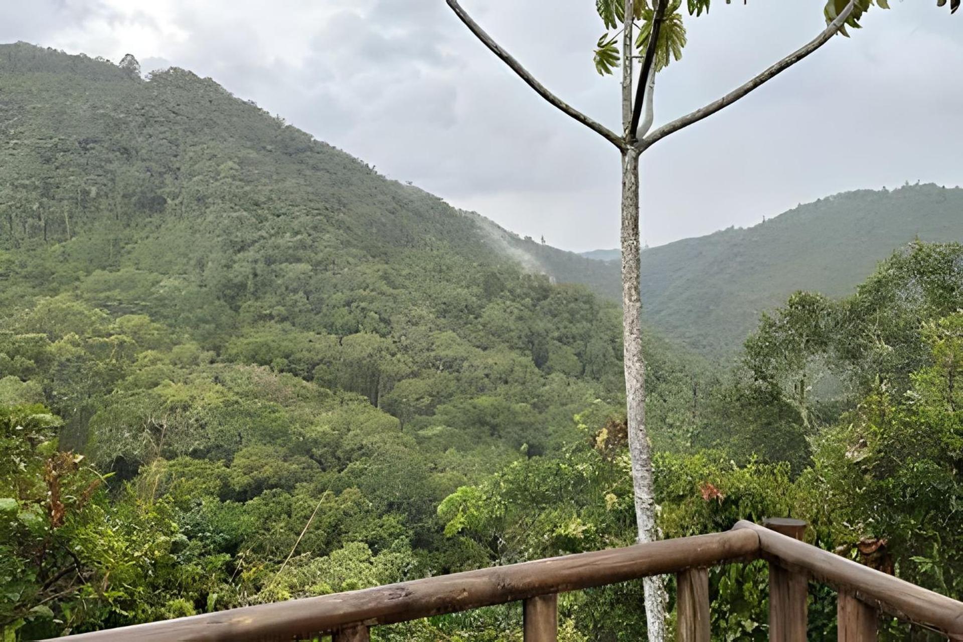 Boveda · Magnificent luxury estate in the middle of nature