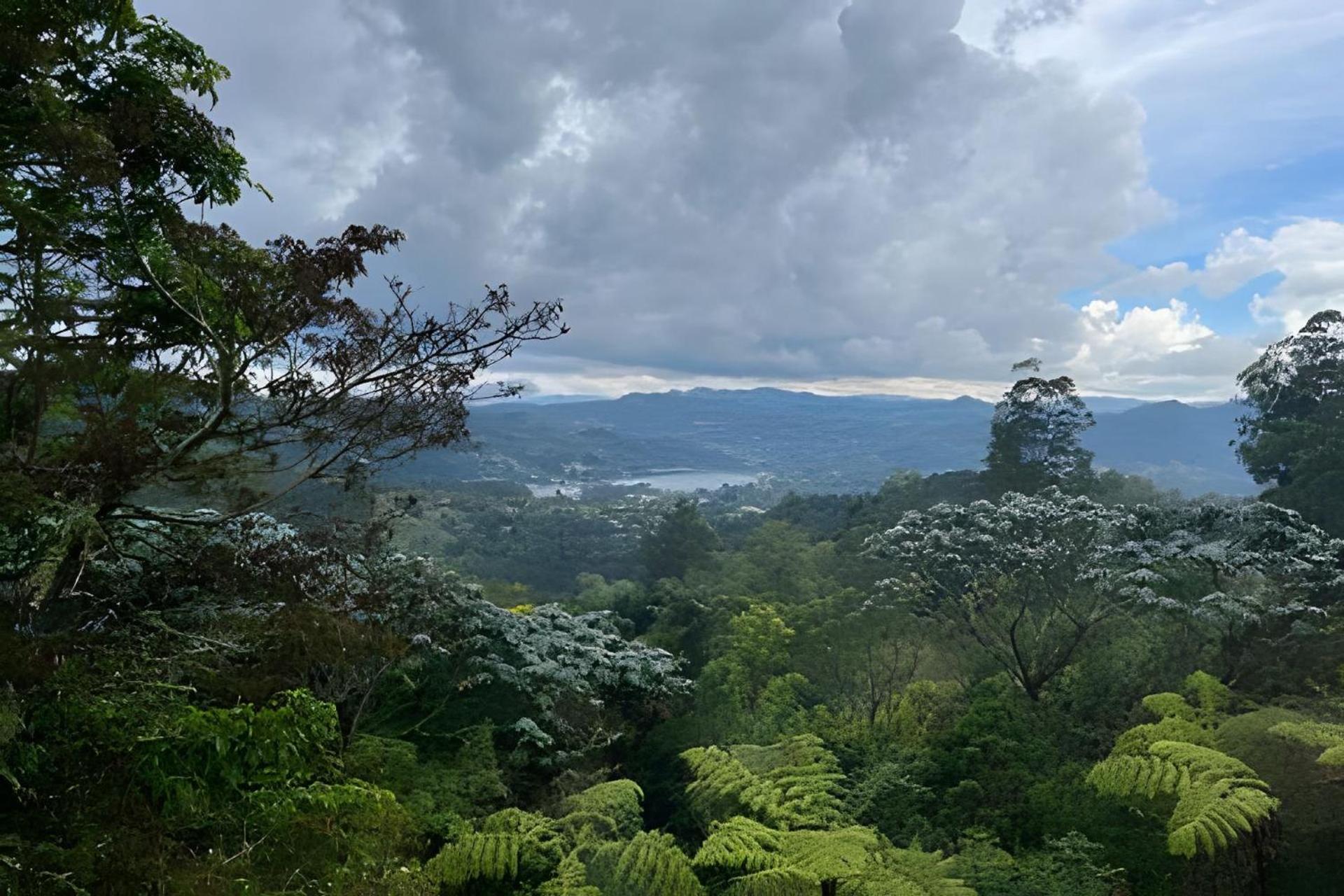 Boveda · Magnificent luxury estate in the middle of nature