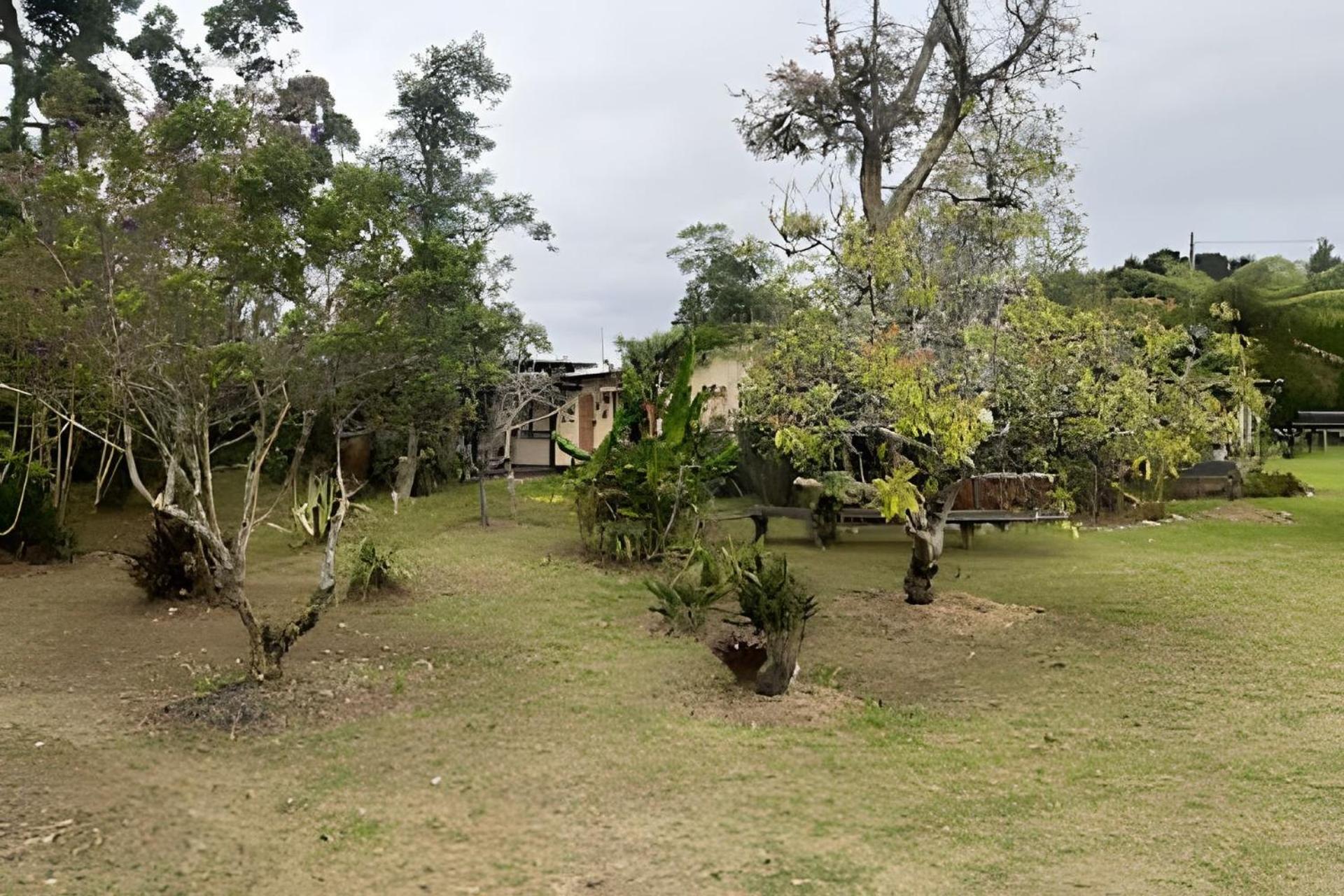 Escapada familiar junto a finca silletera El Plan