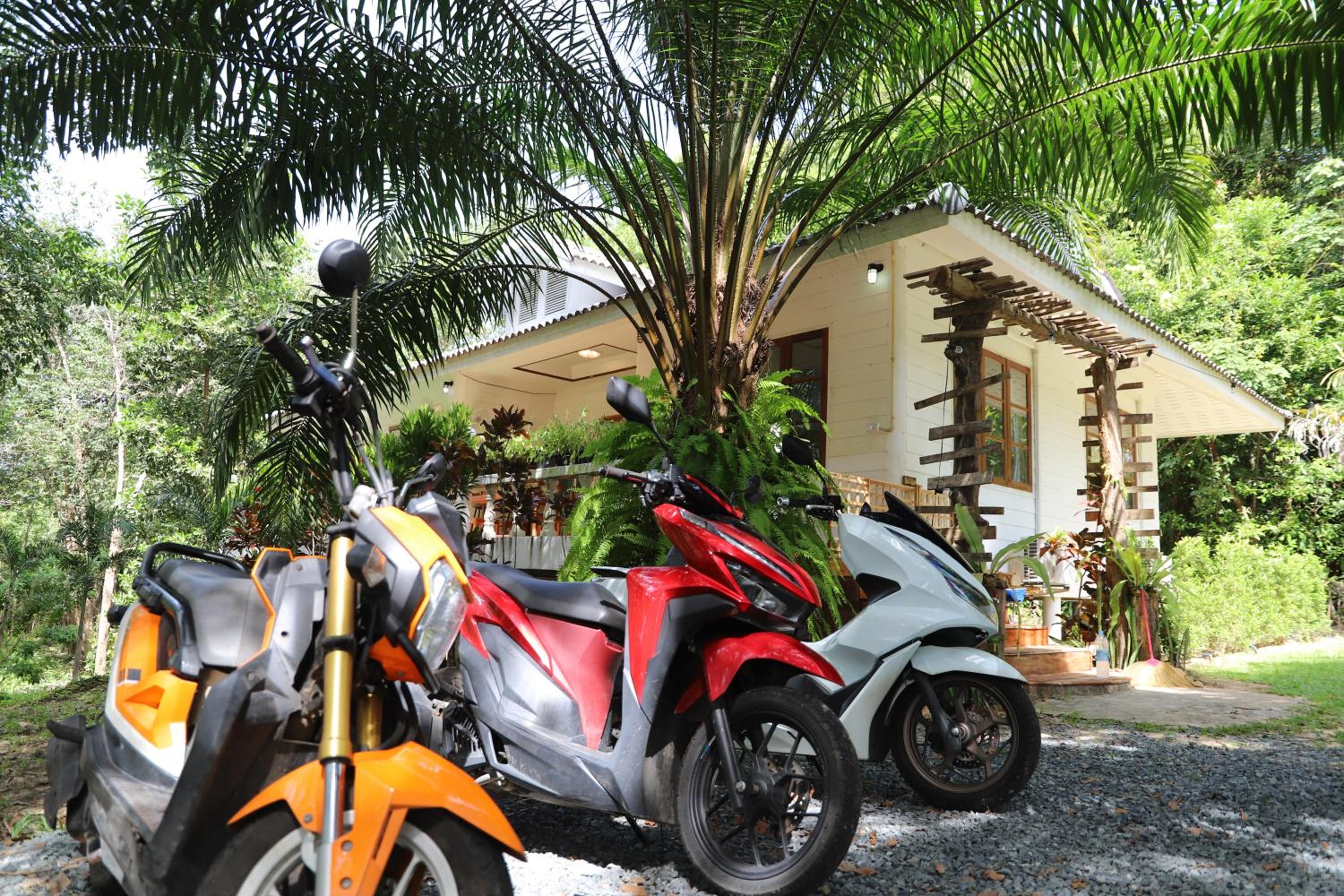 Kood Life view 4