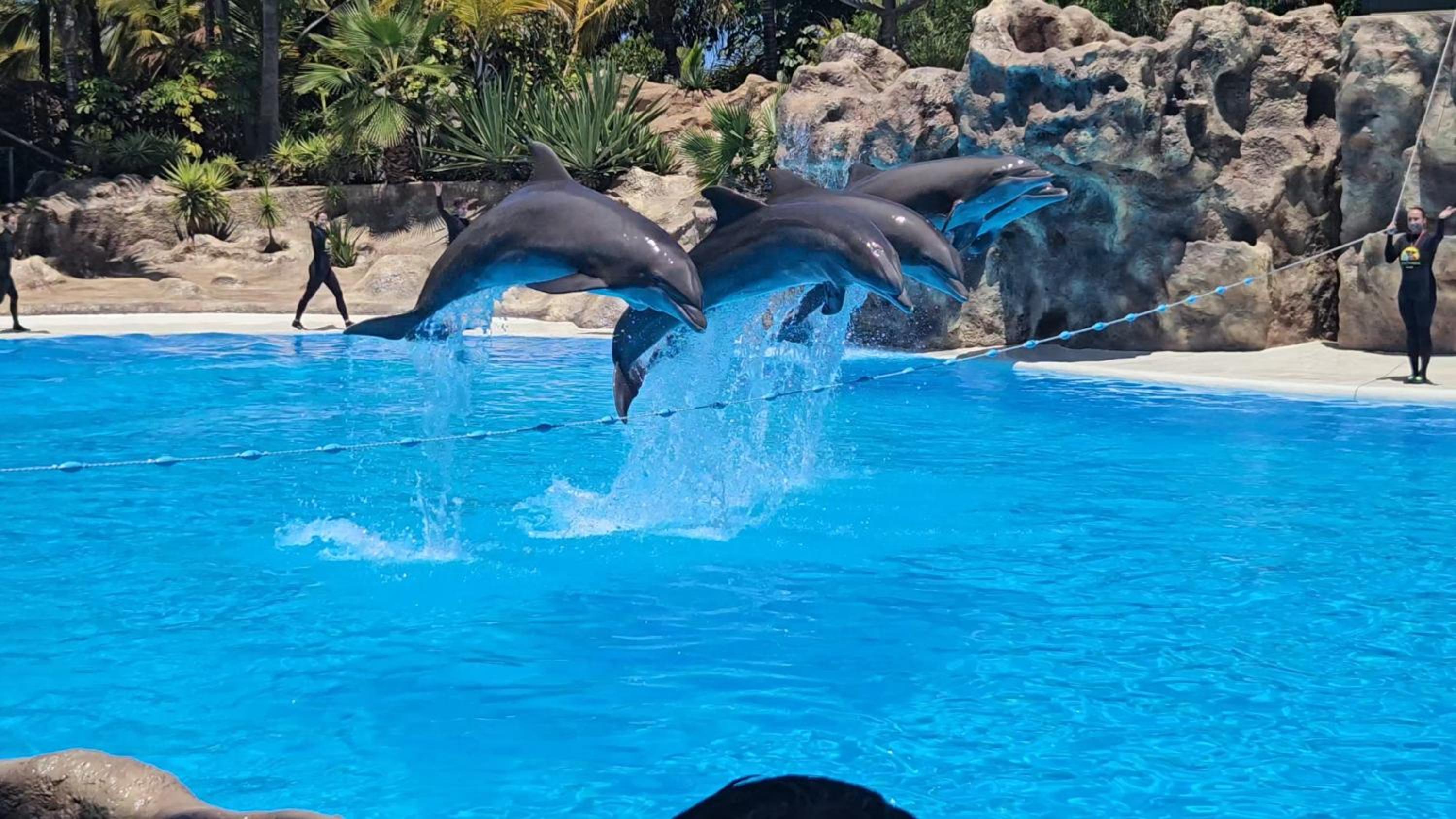 Blue Ocean Costa Adeje 506