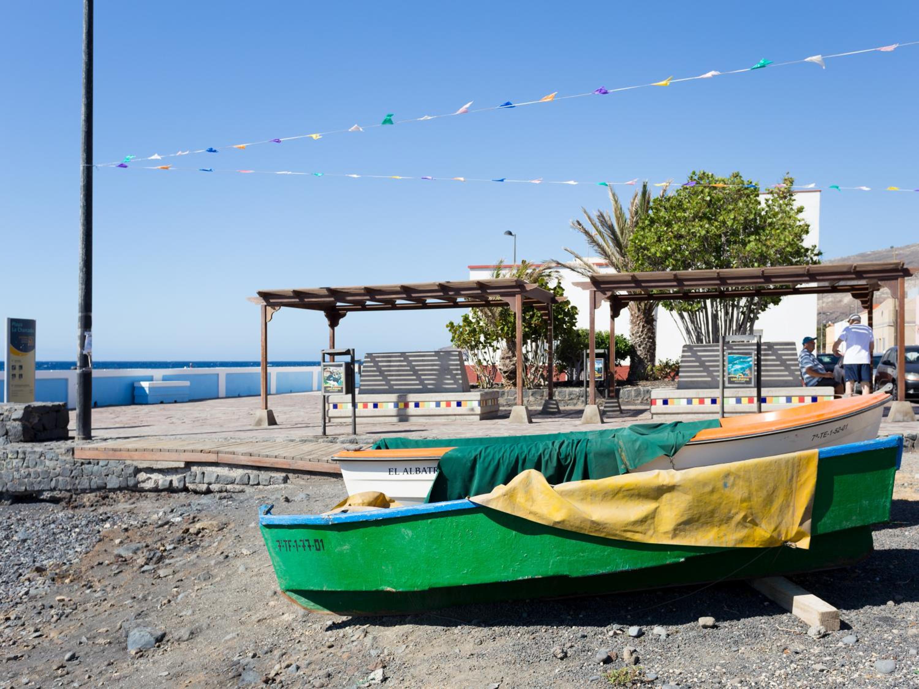Live Puertito Las Palmeras