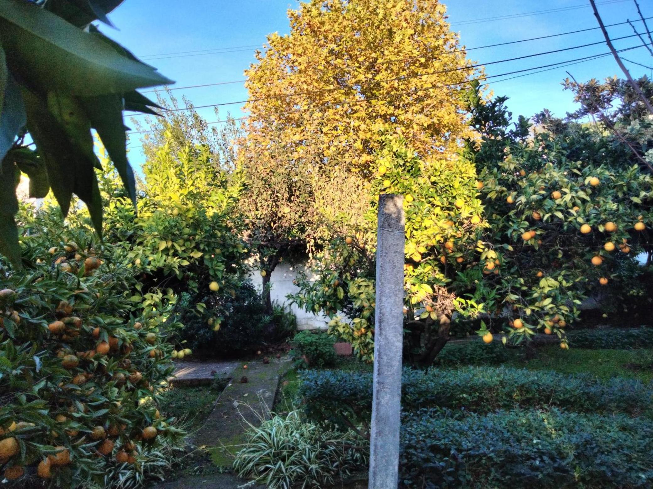 Photo 48