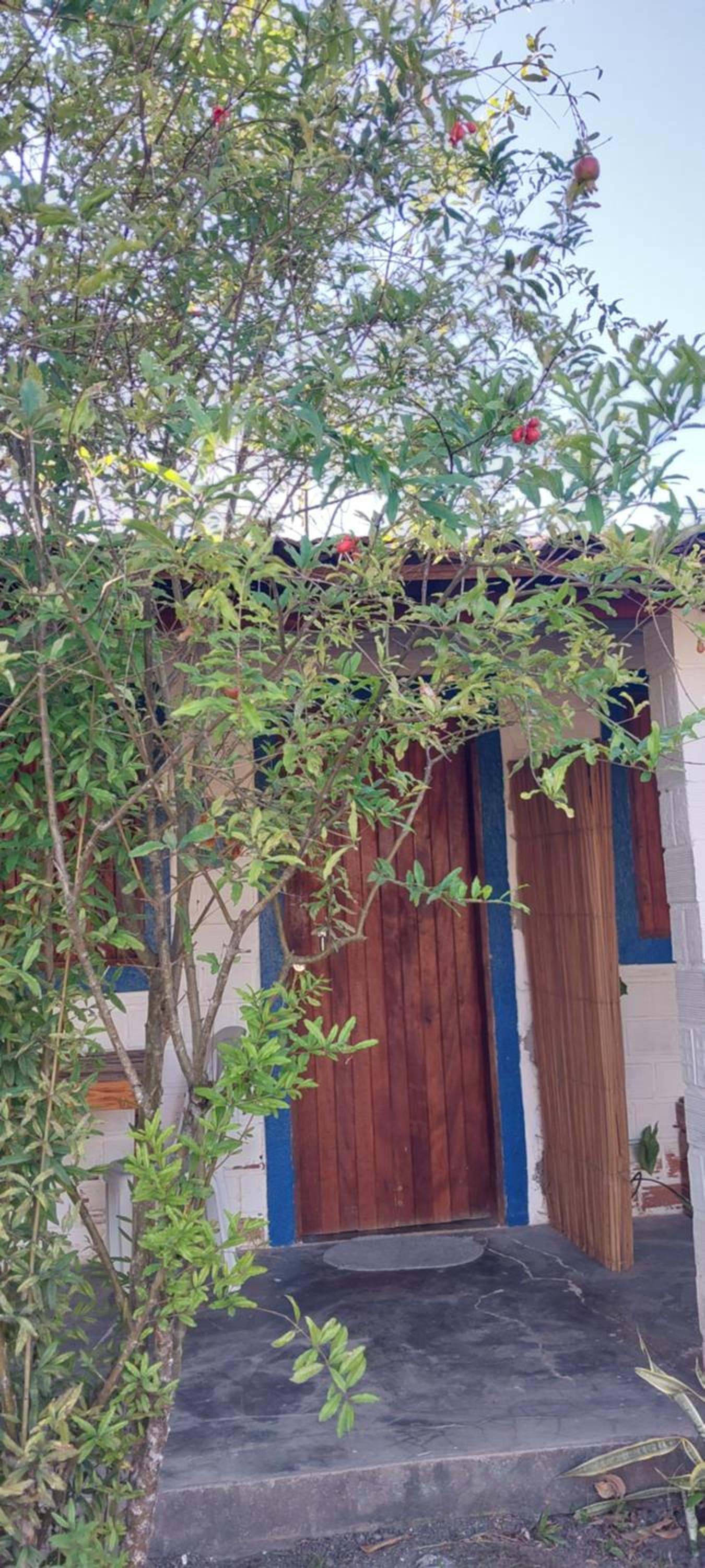 The Beach Hostel Milagres