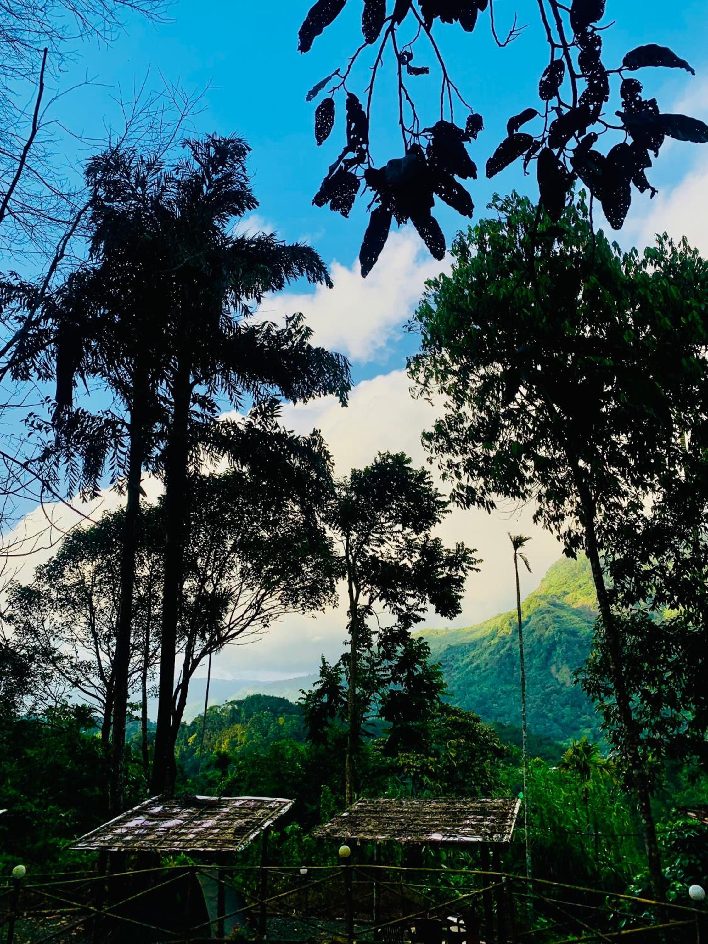 Namastay Mankulam
