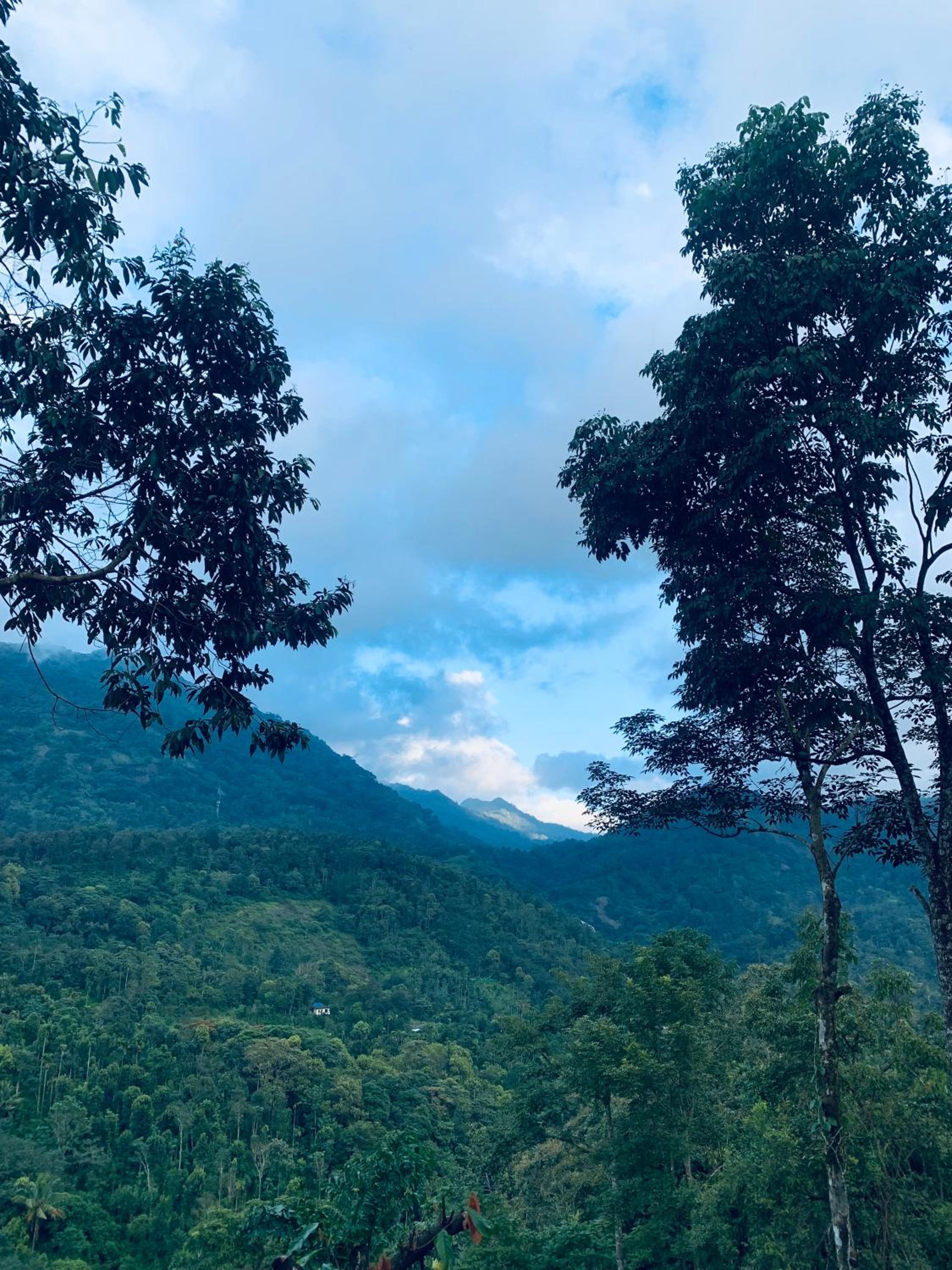 Namastay Mankulam