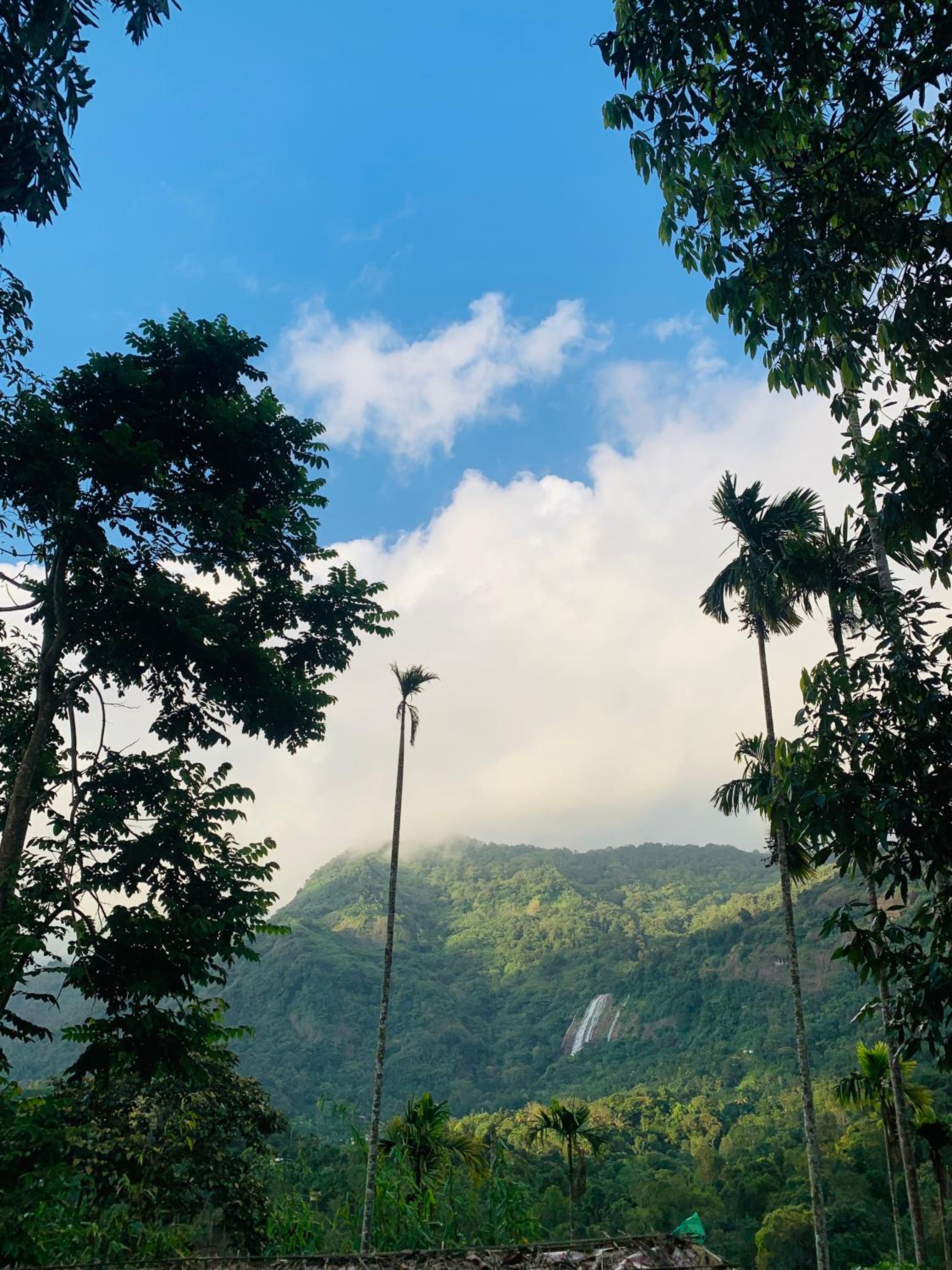 Namastay Mankulam