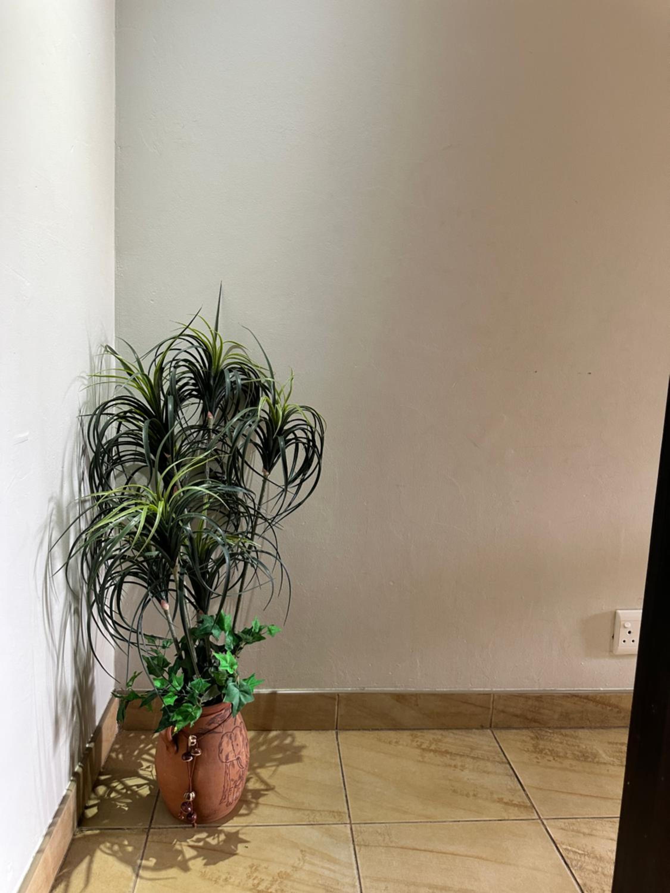 Photo 34