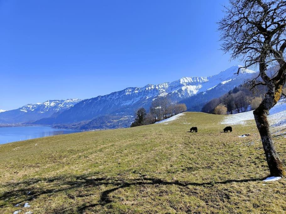 Panoramablick auf See und Berge