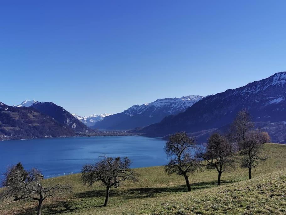 Panoramablick auf See und Berge