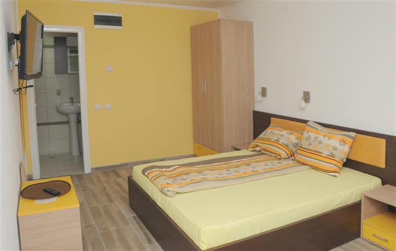 Vila Aleksandra 2 Studio 2 view 4