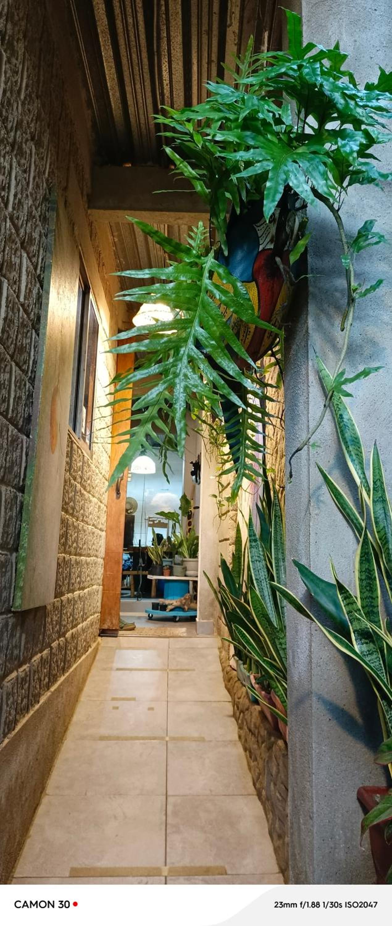 Casa Ocean