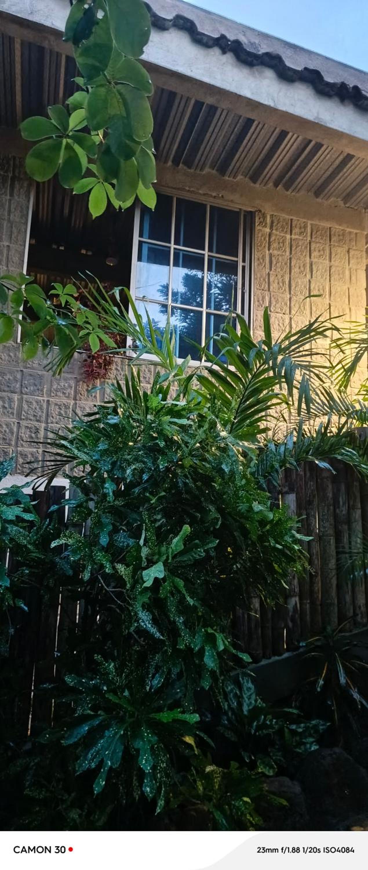 Casa Ocean