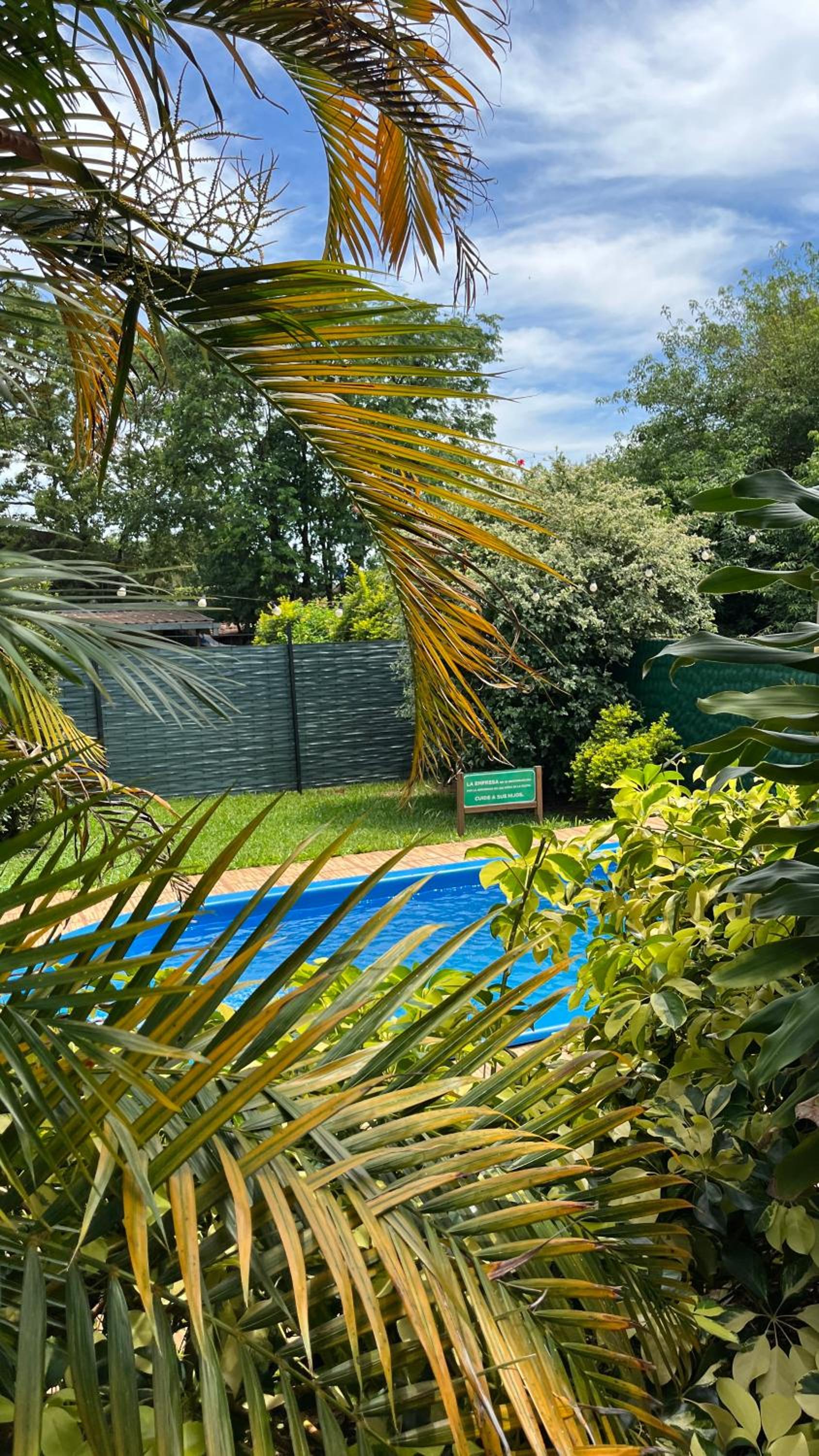 Araticú