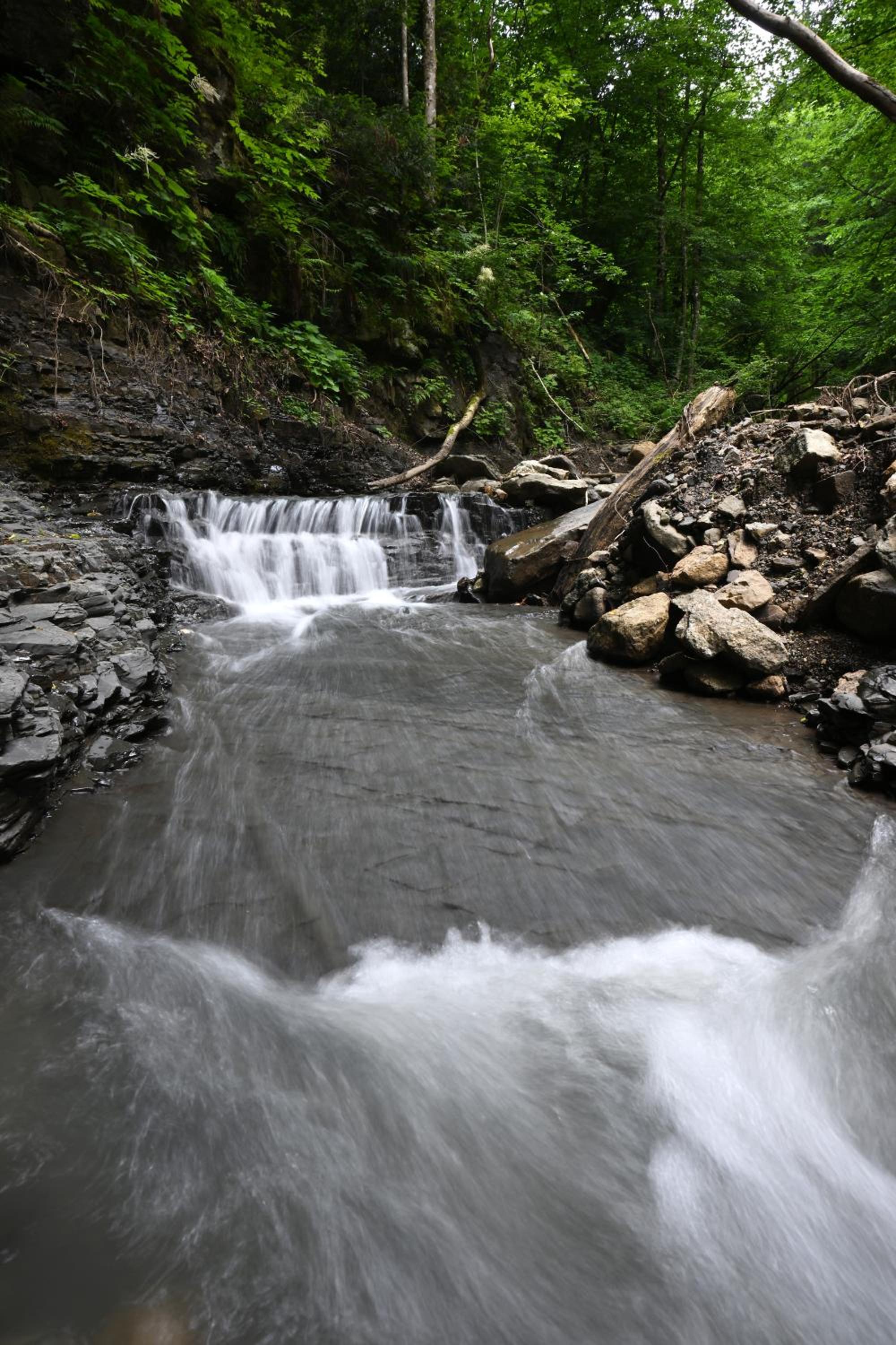 Photo 45