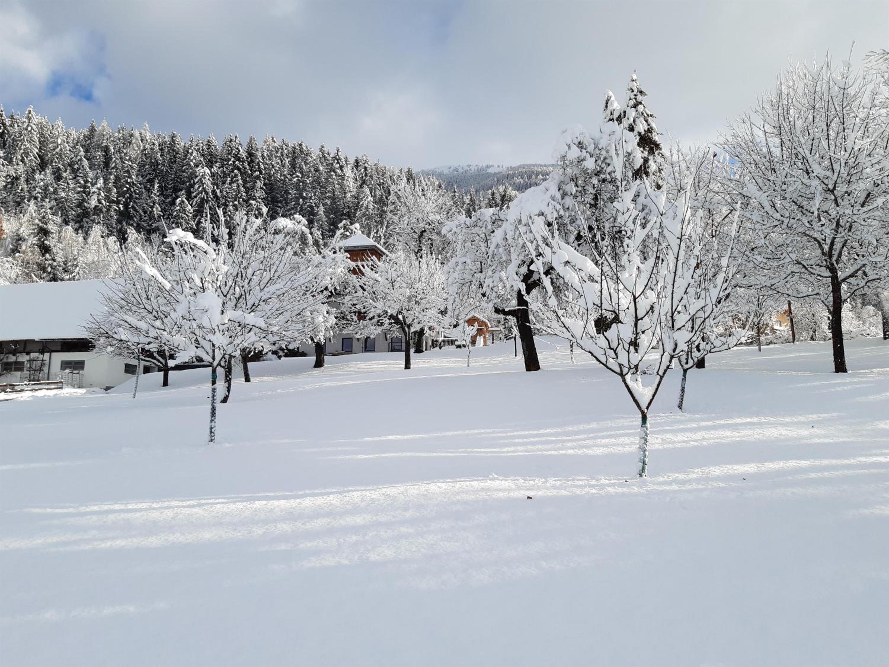 Appartement Fromme Helene
