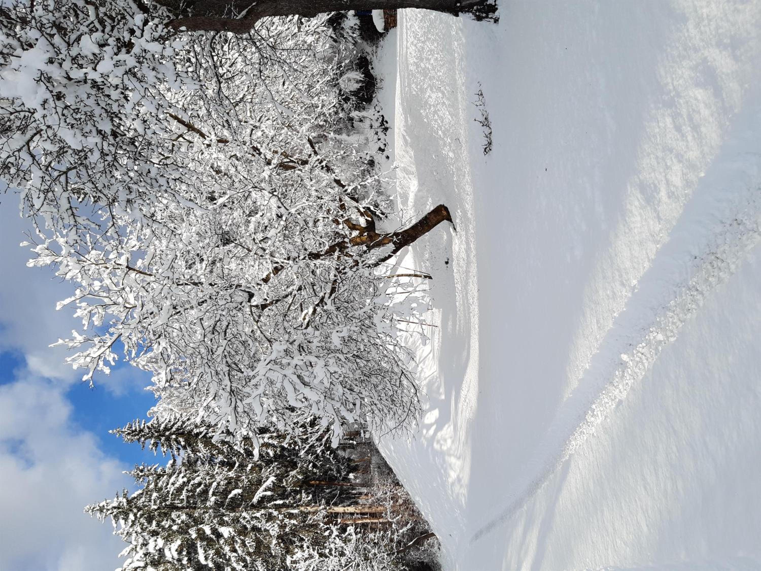 Appartement Fromme Helene