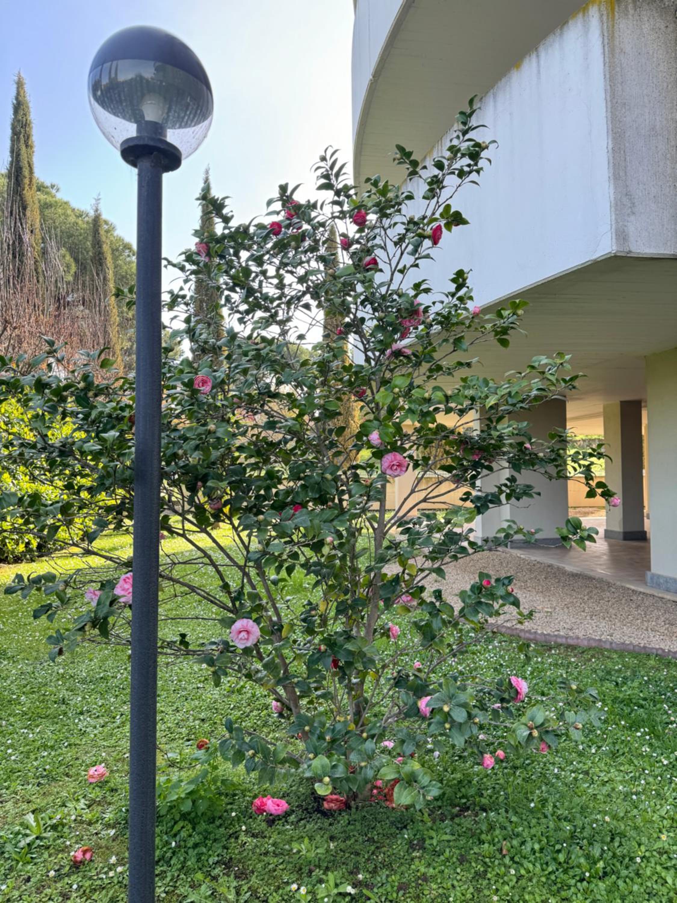Flower Garden House