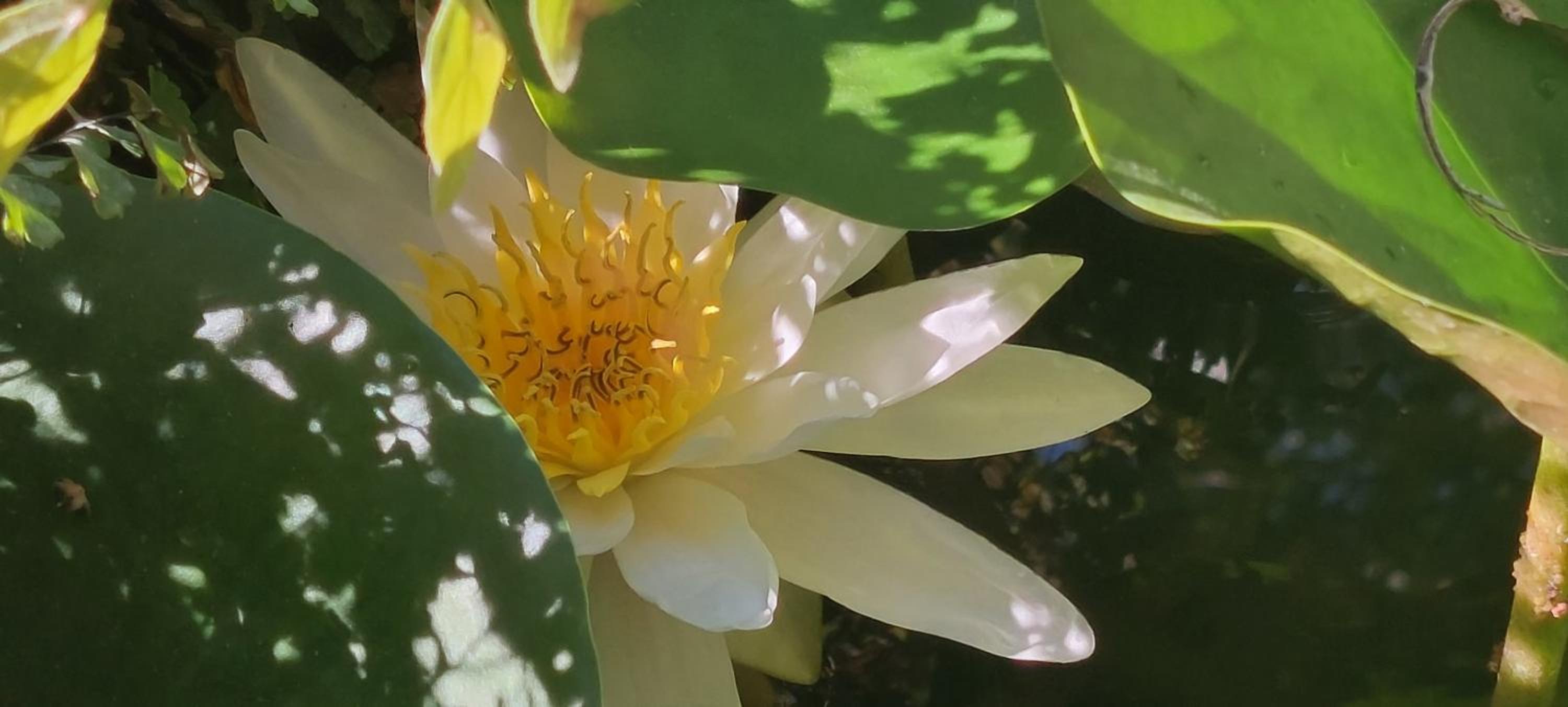 Photo 49