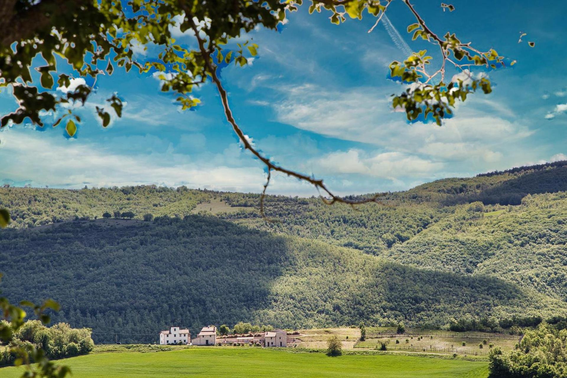 Agriturismo I CASALI DI MORRO view 4